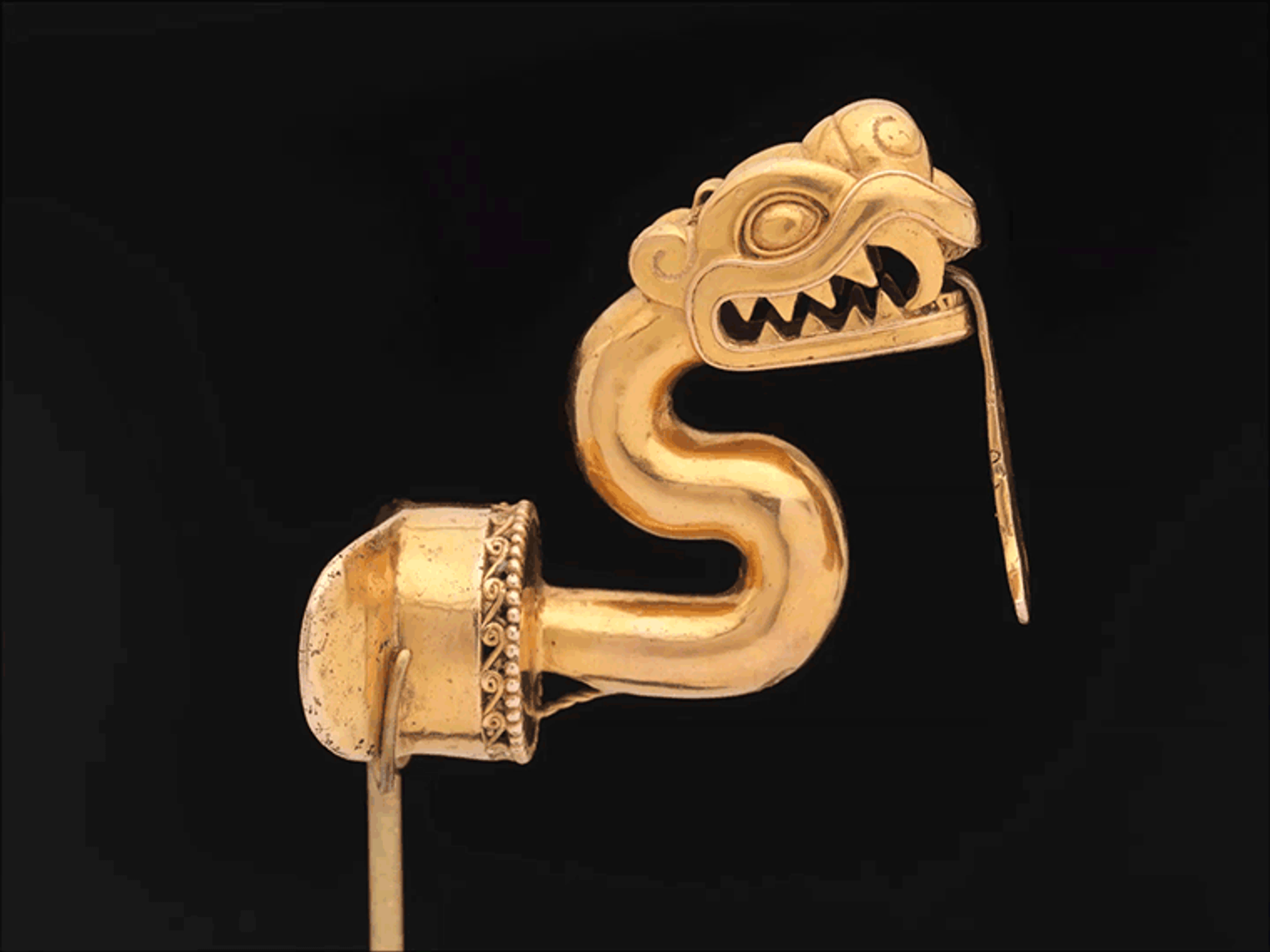 The serpent labret's tongue is shown moving.