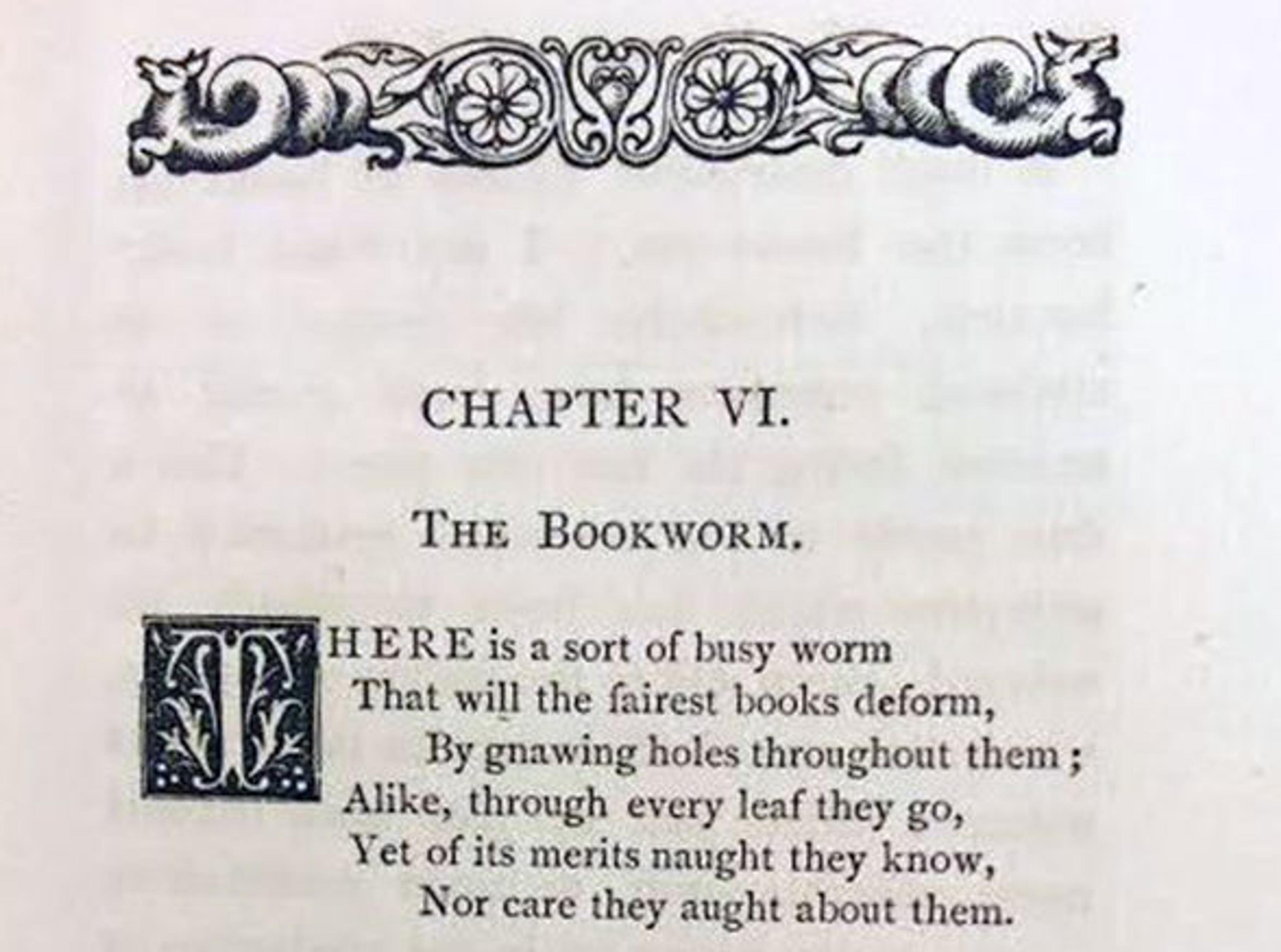 the bookworm