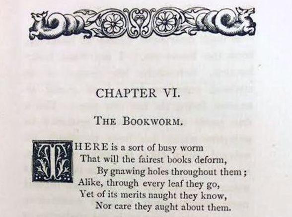 the bookworm