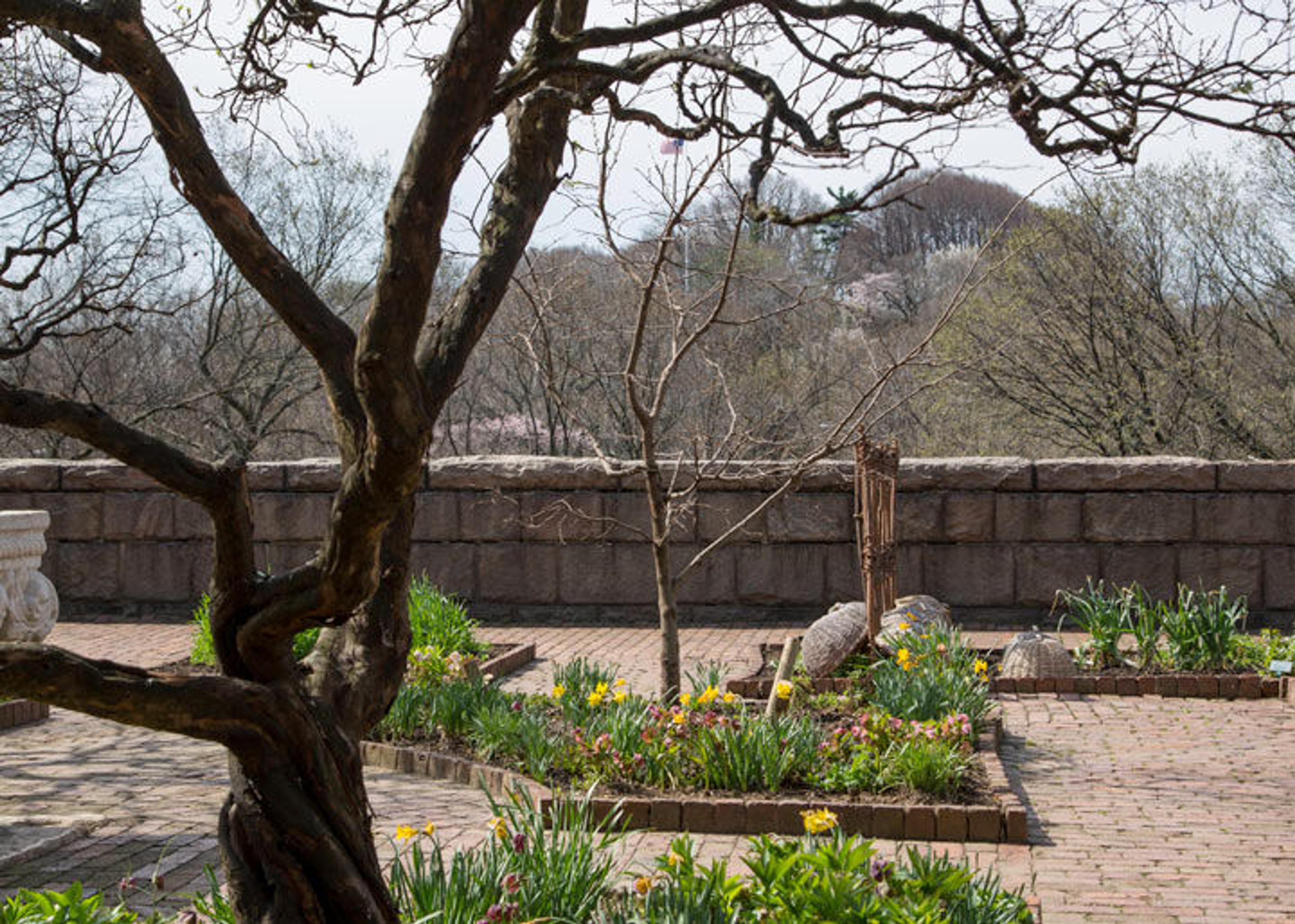 View of the Bonnefont Herb Garden at The Met Cloisters overlooking the Hudson River