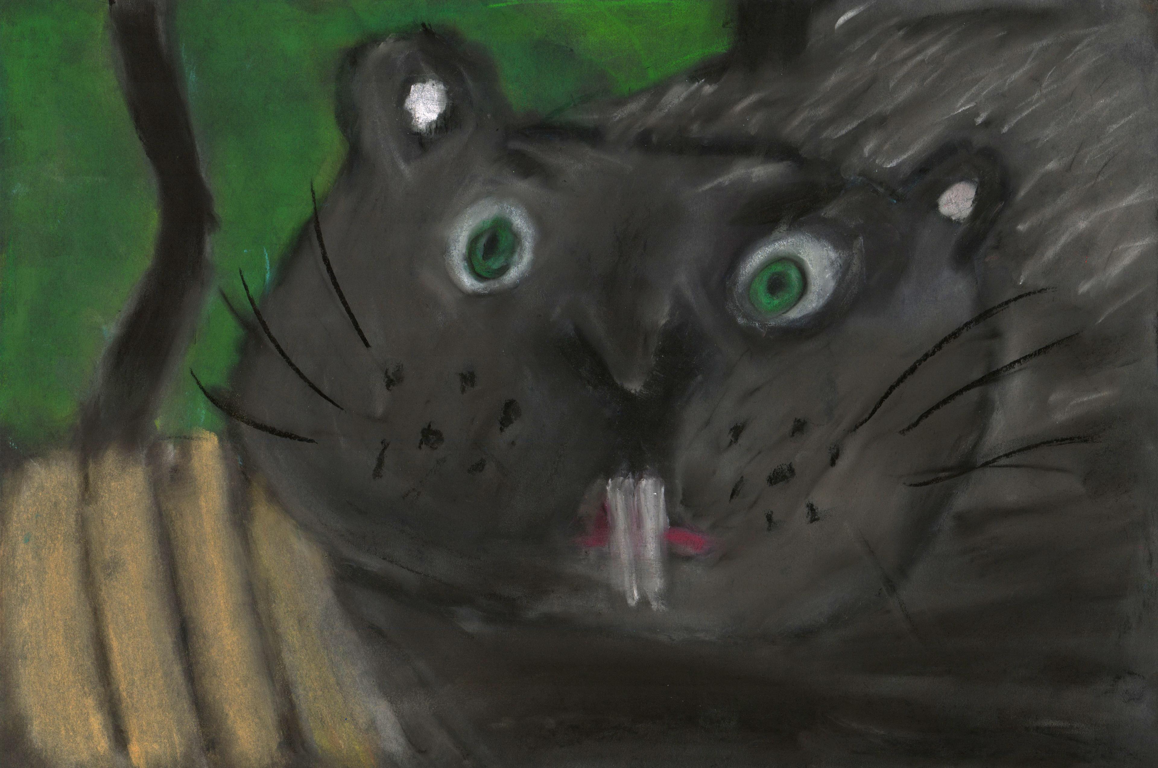 Chalk pastel portrait of a black beaver with wide green eyes and long, white front teeth. The beaver is facing the viewer and appears in front of a light brown picket fence with greenery in the background. The beaver has an expression of surprise, and black whiskers stick out from its cheeks on either side of its face.