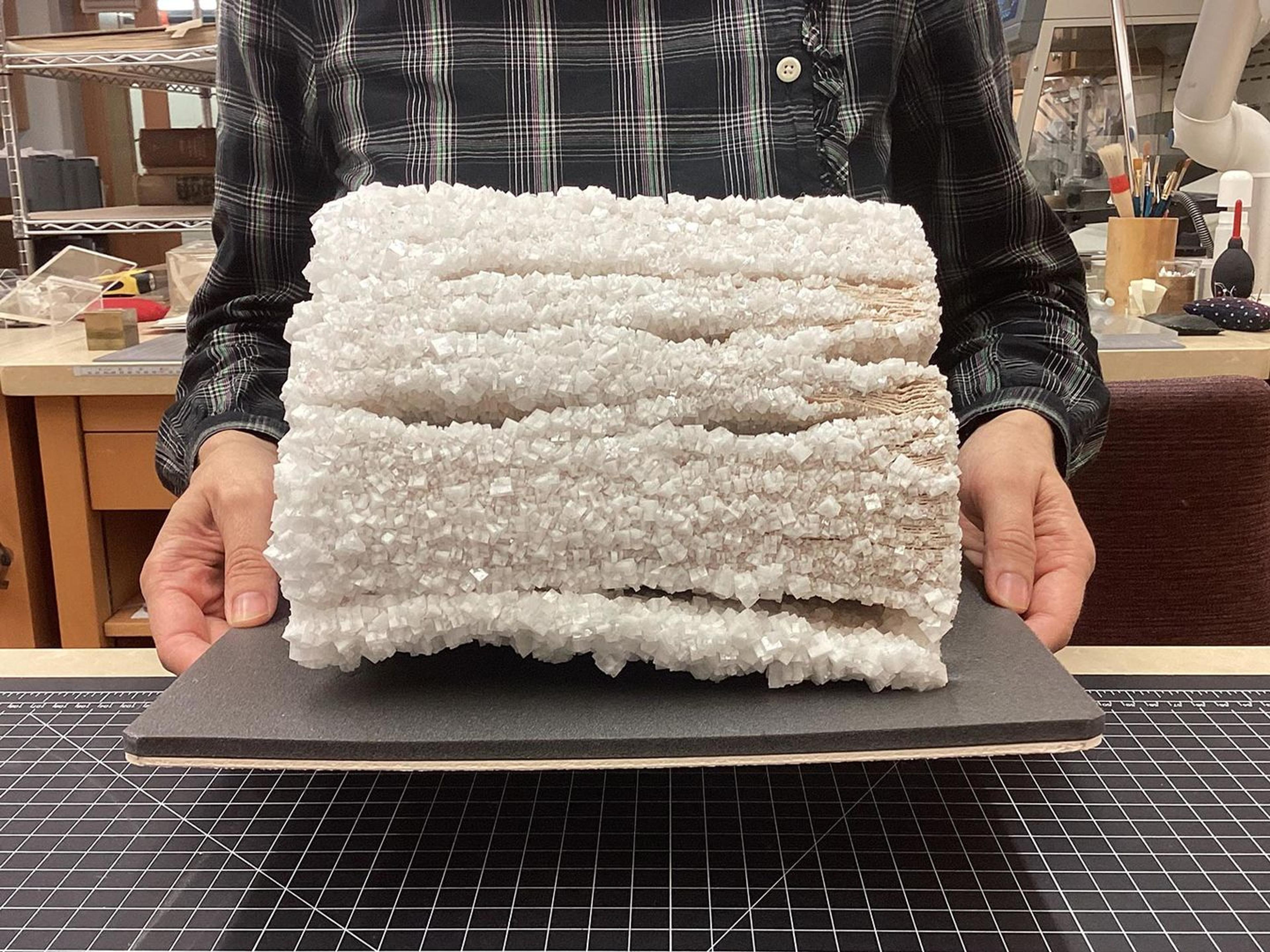 Someone holding the Salt-encrusted book on a tray