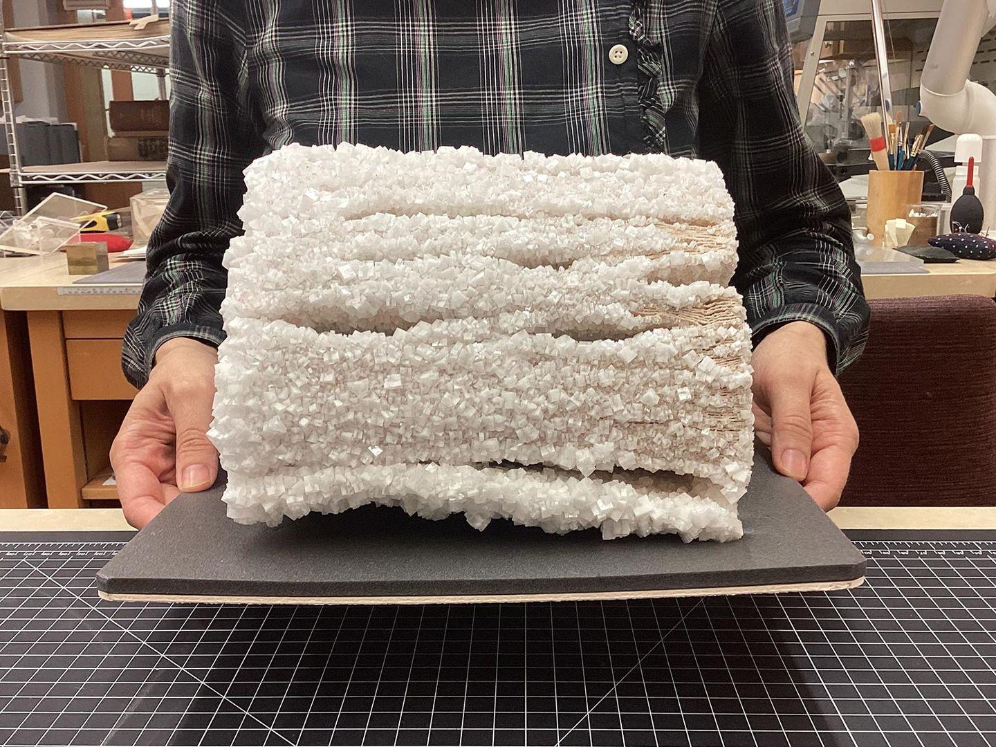 Someone holding the Salt-encrusted book on a tray