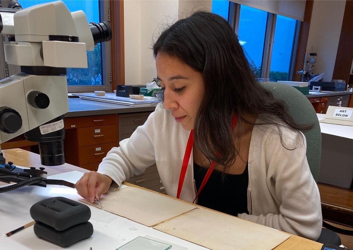 What do pre-program interns do in Paper Conservation? - The ...