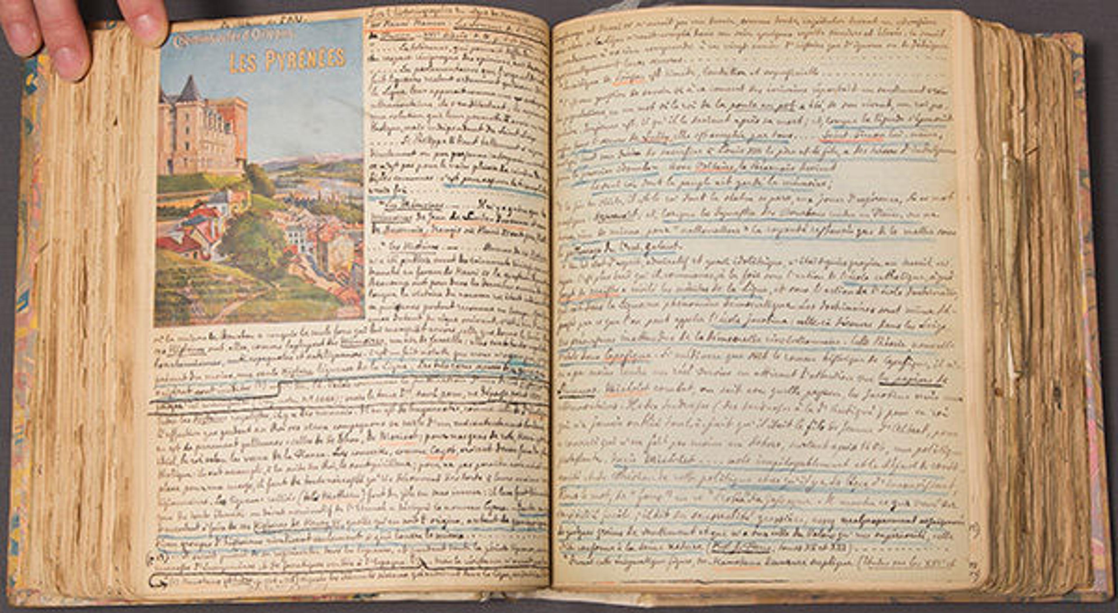 illustrations