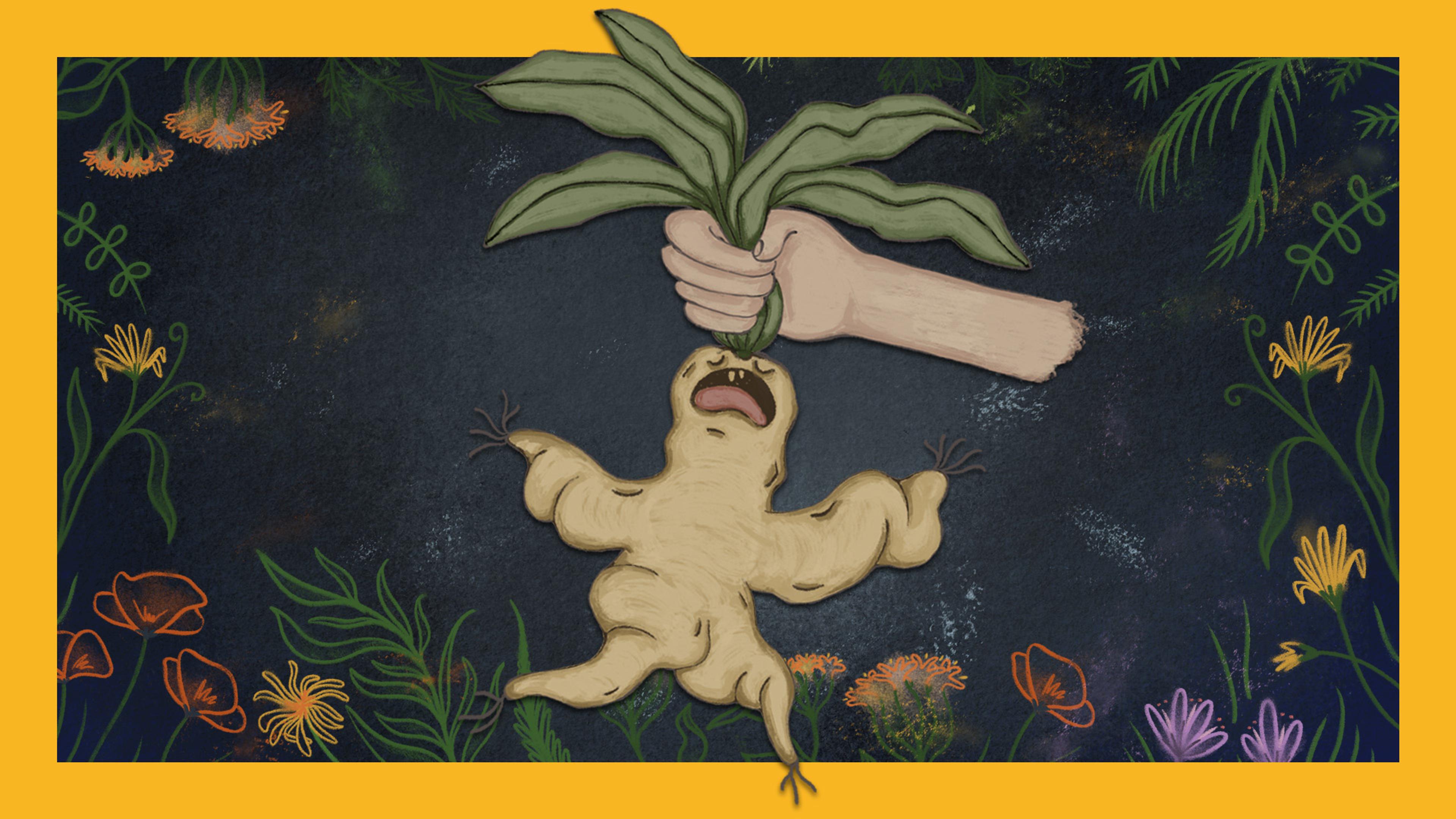 Illustration of screaming mandrake on a dark background with flowers.