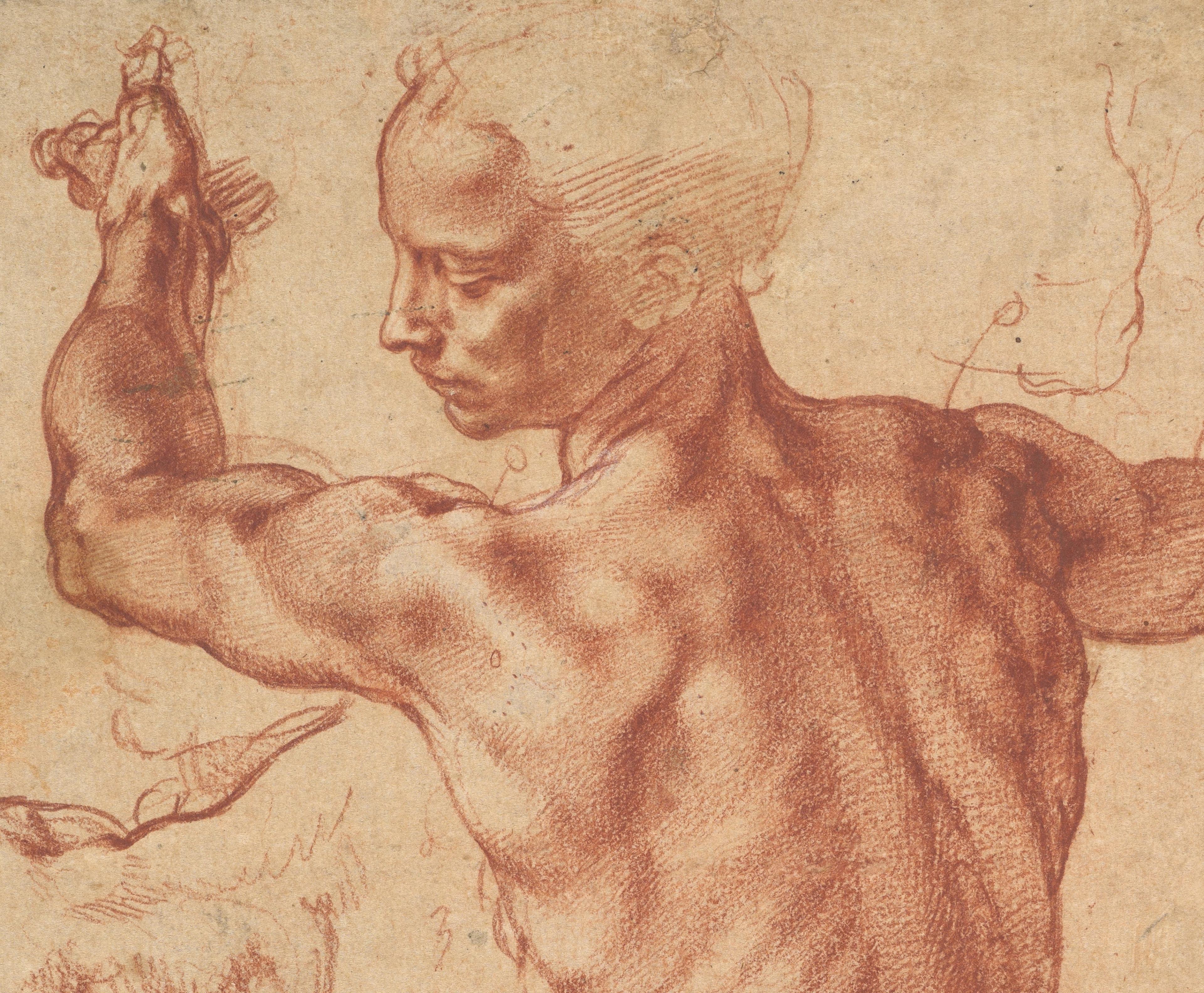 A red chalk drawing of a curly-haired man's back and face, seen in profile.
