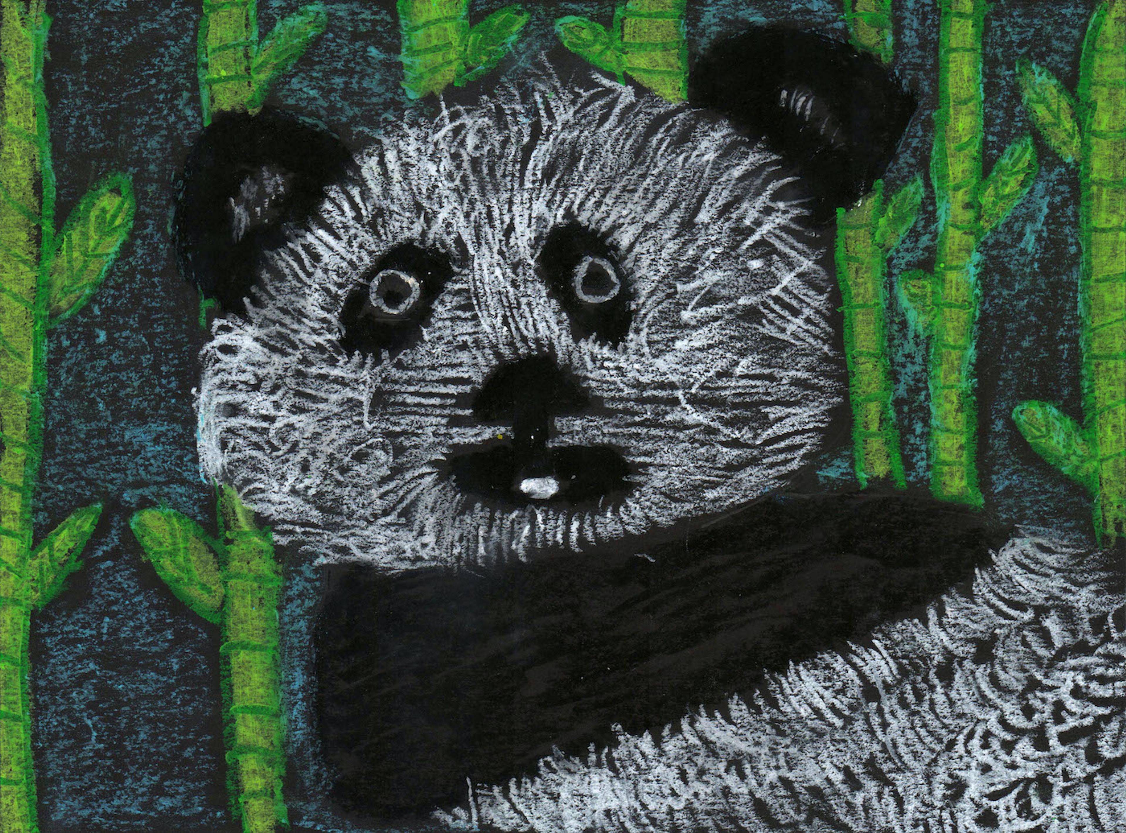 Oil pastel illustration of a panda facing the viewer with tall green stalks of bamboo behind it. The white portions of the panda's fur are drawn in dense, detailed strokes. The panda has a wide eyed expression.