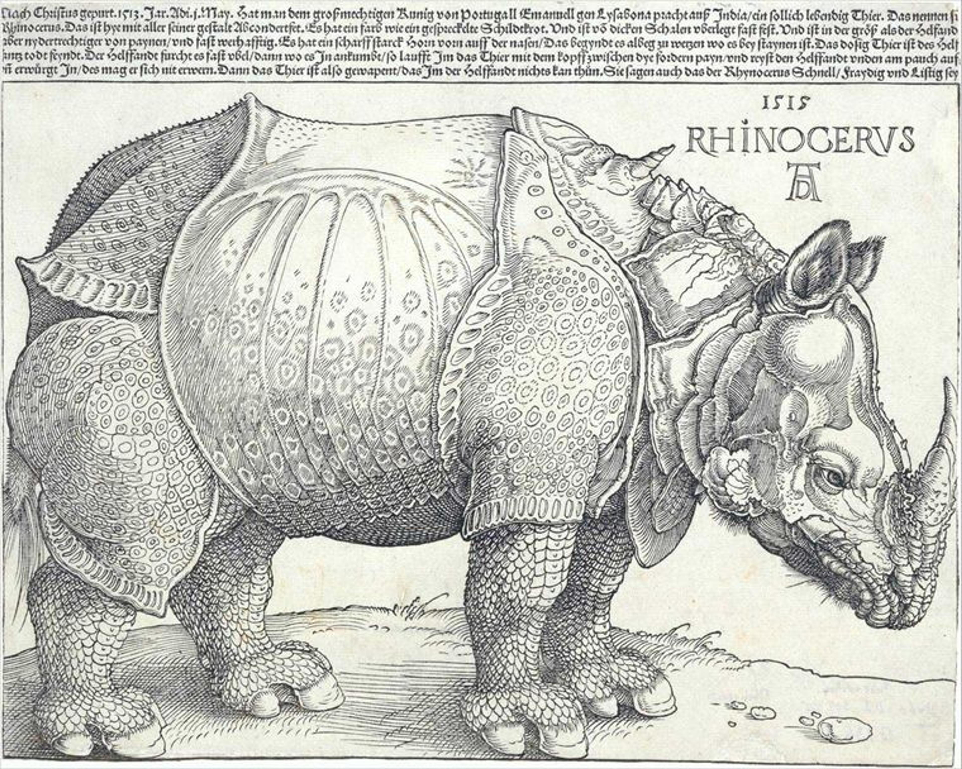 Durer etching of rhinoceros