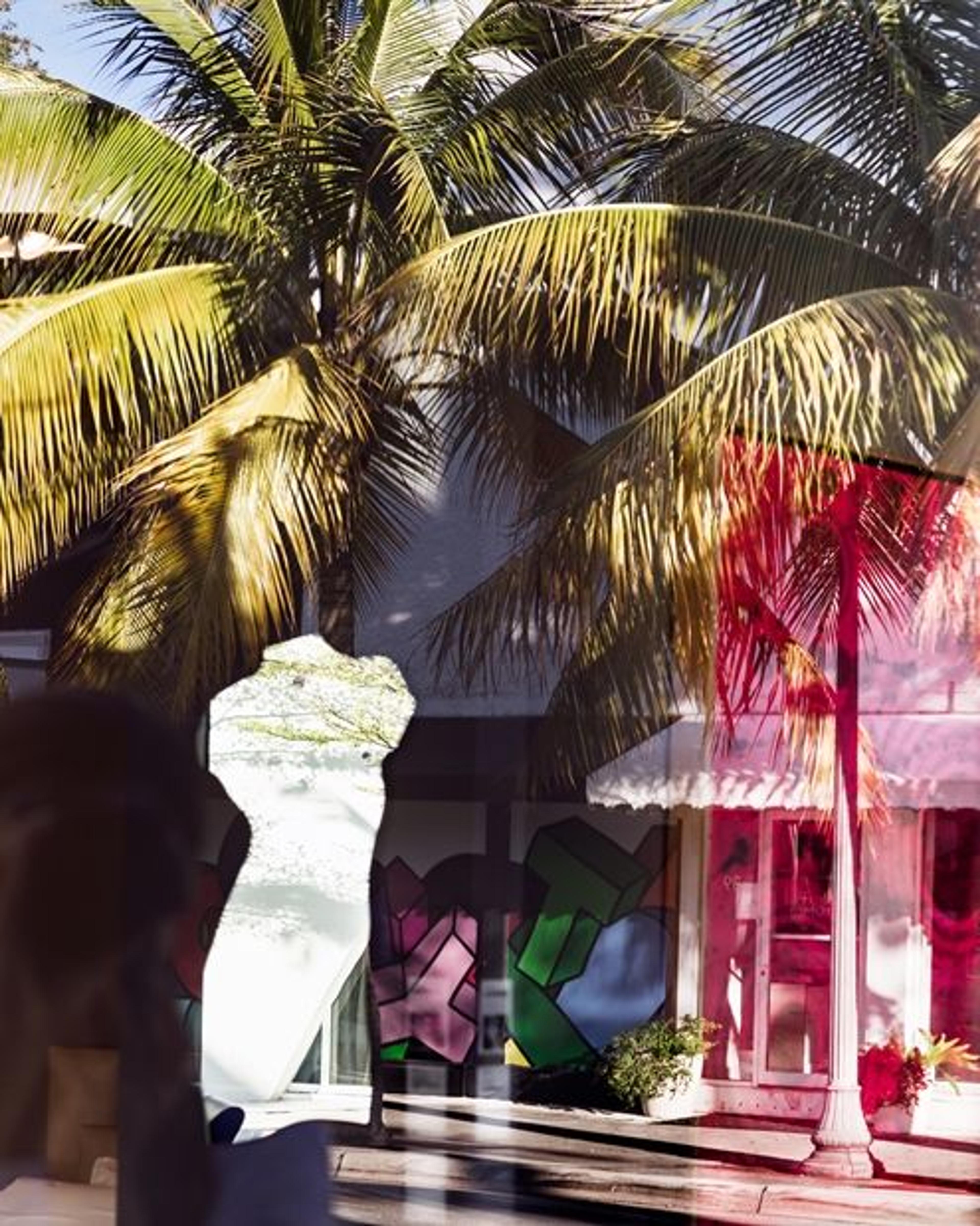 A collage of an urban space in Florida with images of a palm tree, spray-painted wall, and ocean overlapping one another