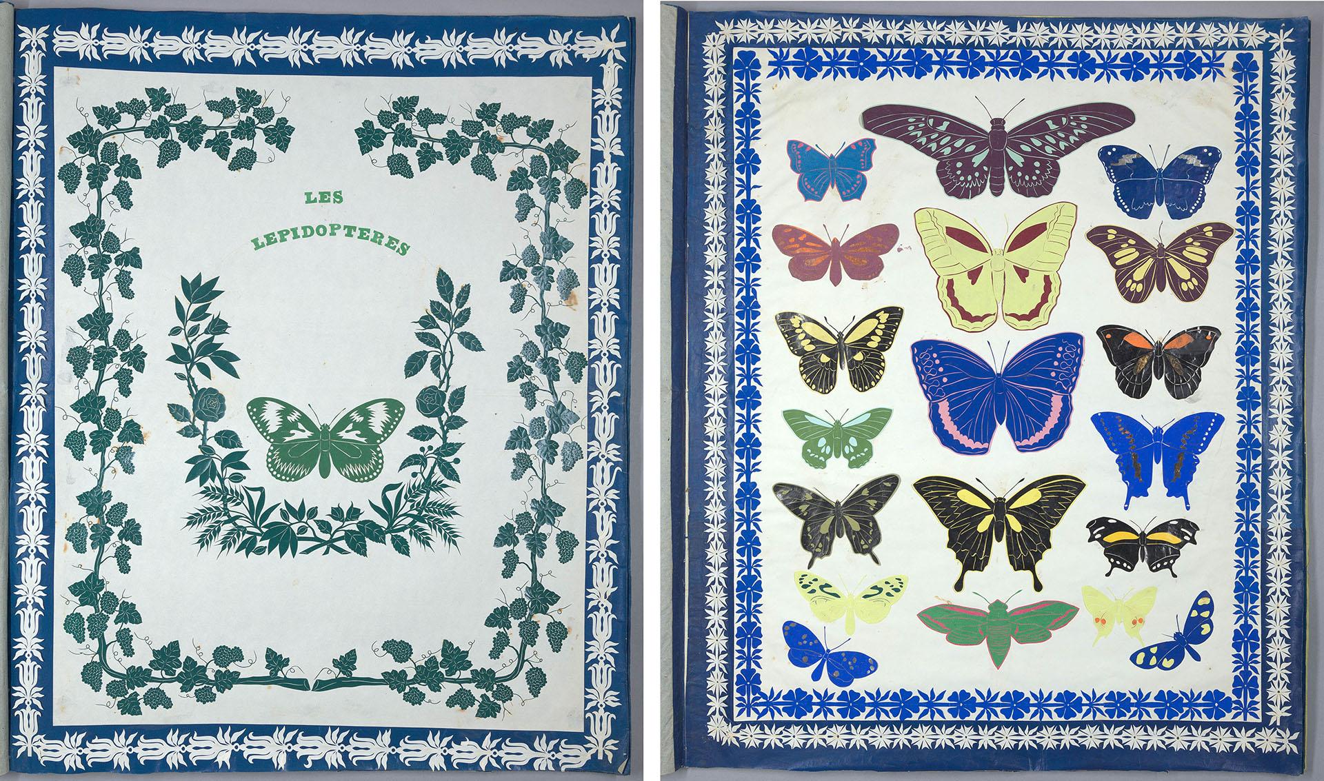 Cover and inside spread of butterflies