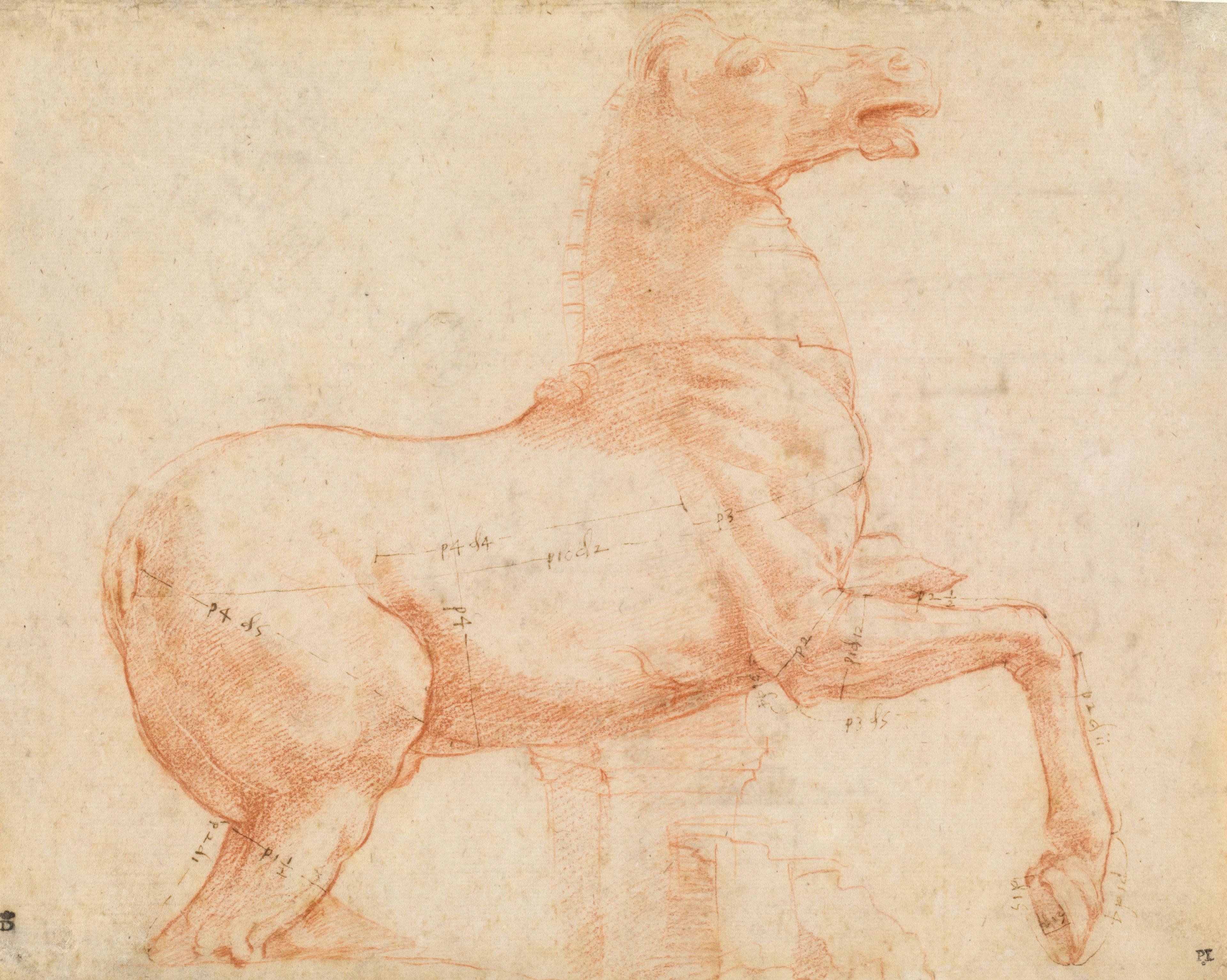 A red orange sketch of a muscular horse.