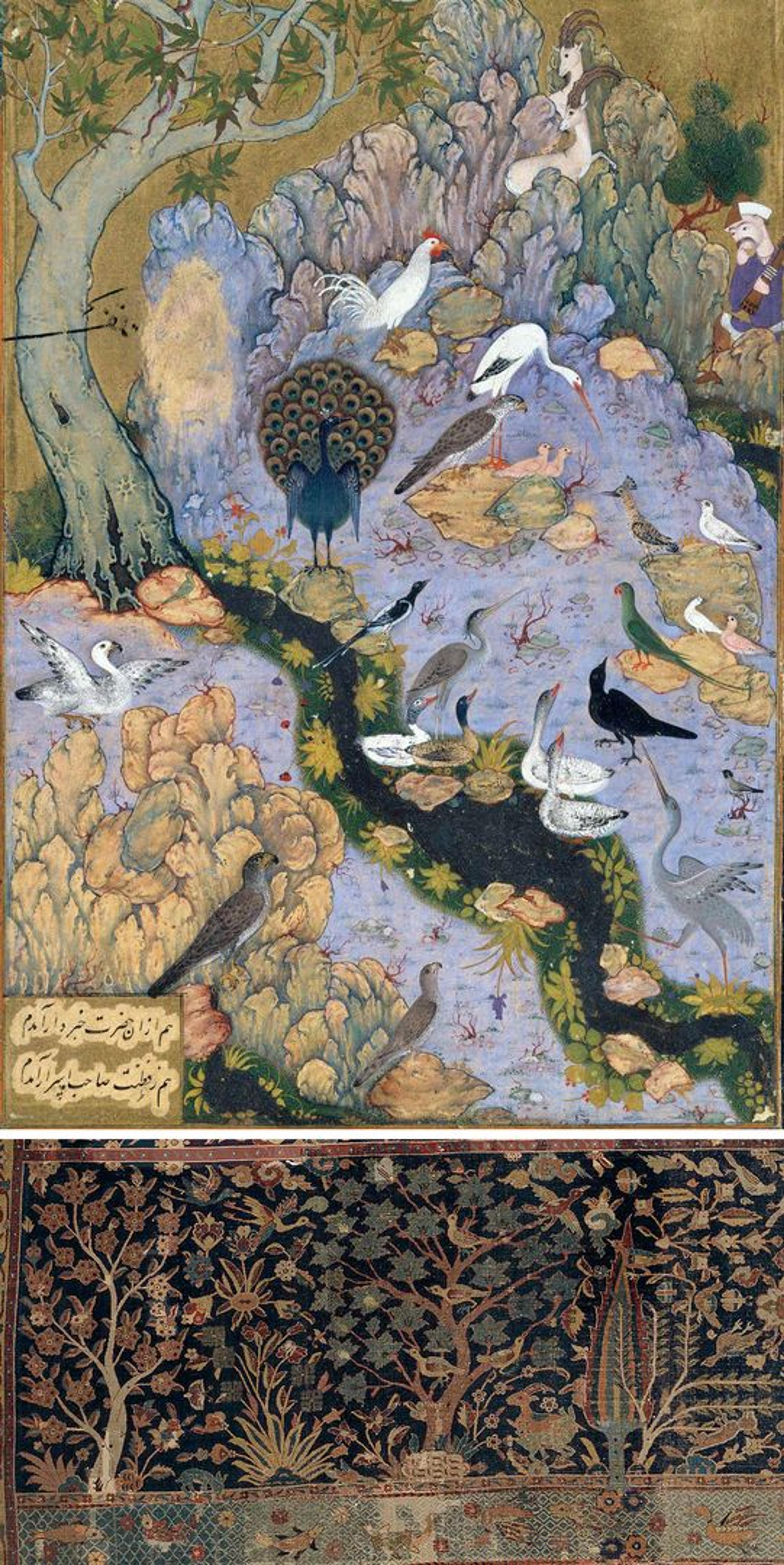 Illustrated manuscript showing conference of birds and detail of birds from carpet