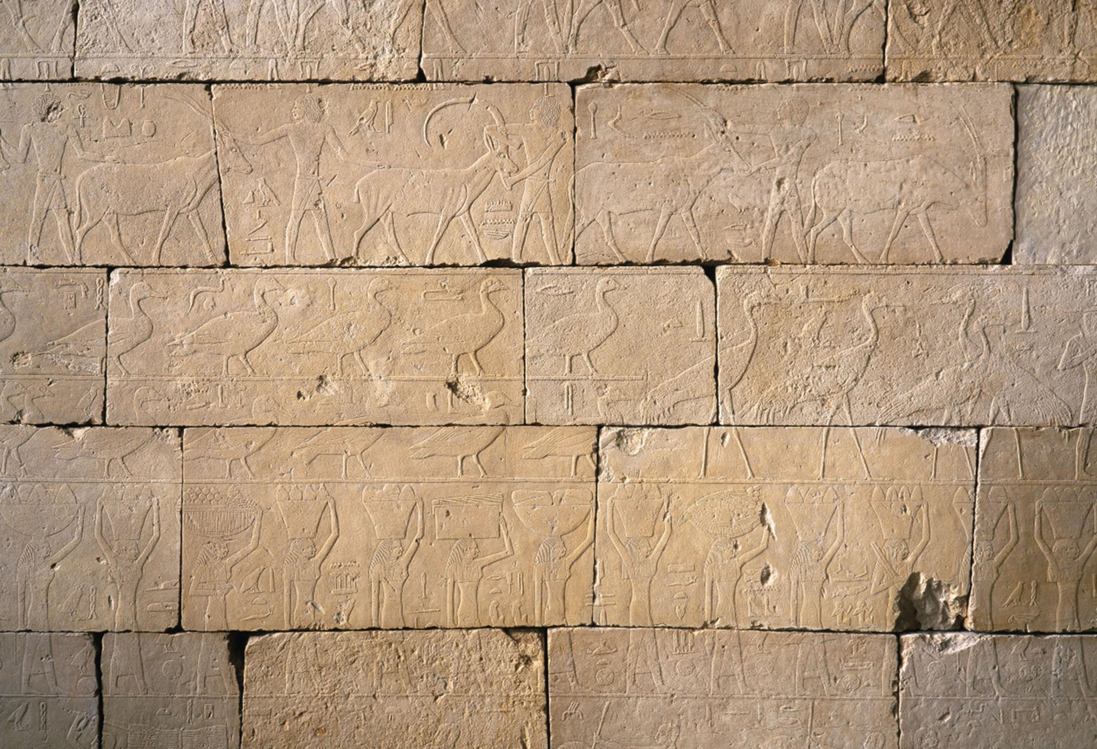 Photo of wall with hieroglyphics.