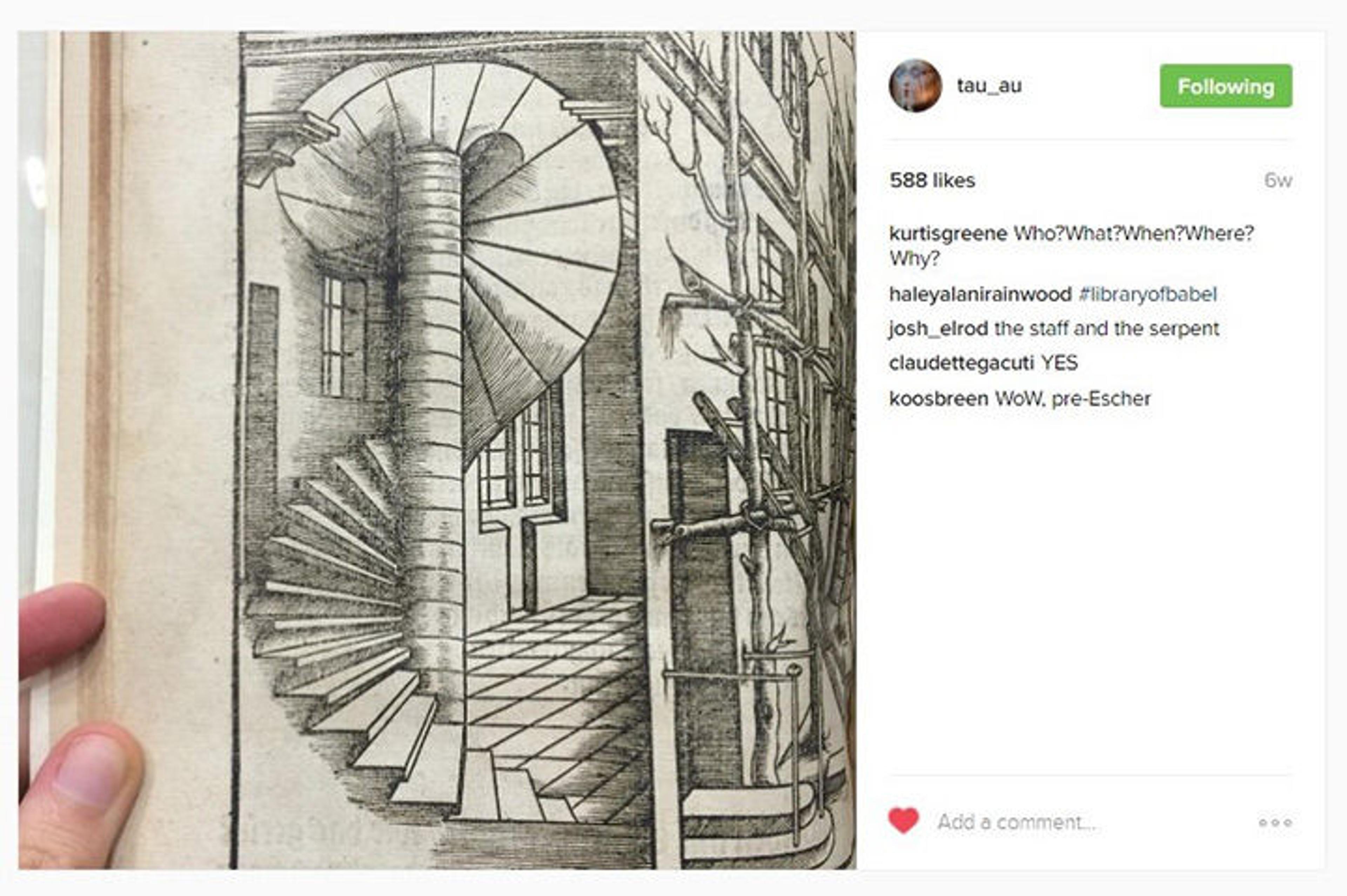 Perspective