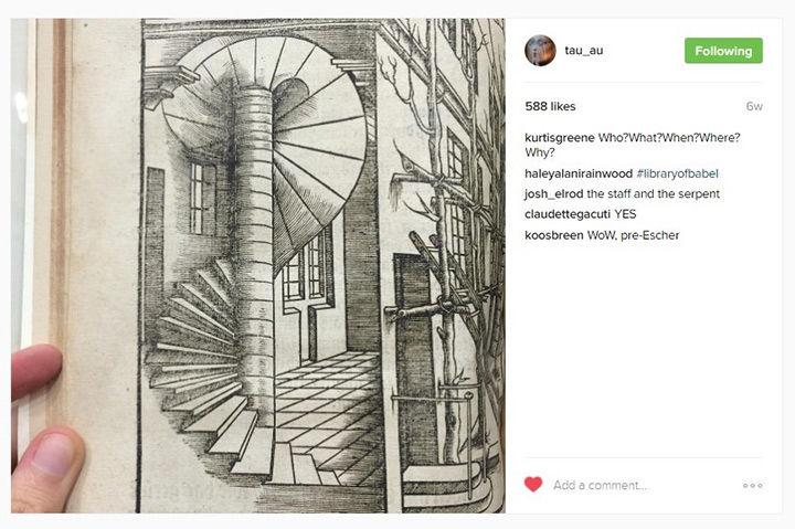 Perspective