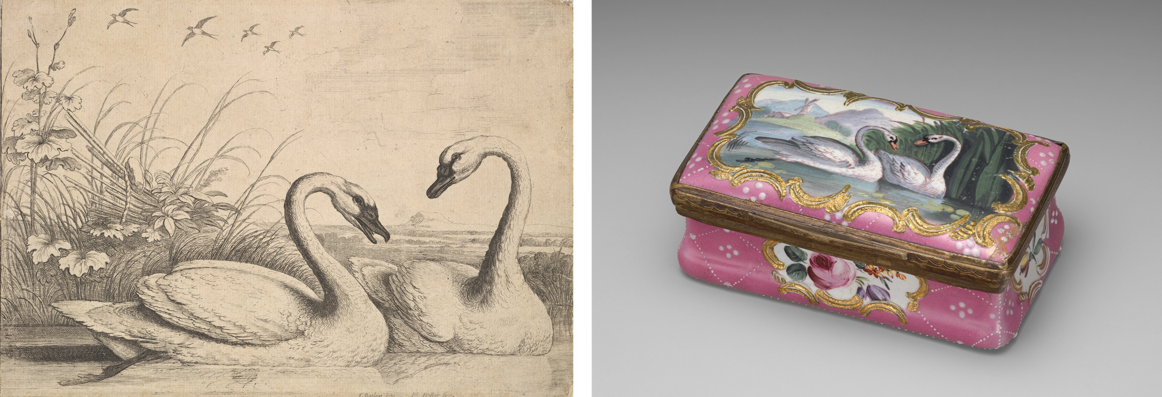 At left, a wispy drawing of two swans in water amidst wetland vegetation. At right, a pink snuffbox reproduces the scene in color on its lid.