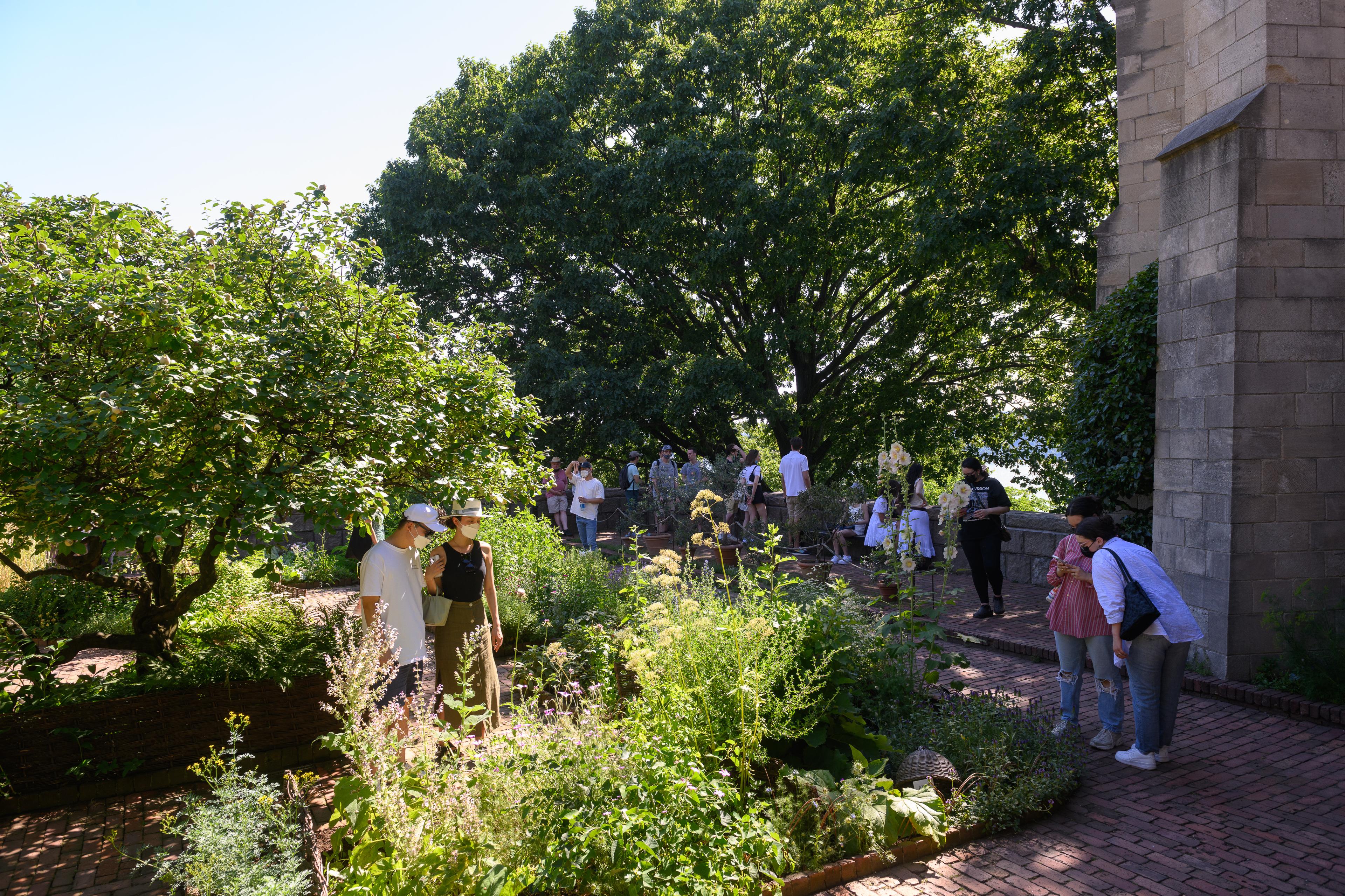 Visitors enjoy The Met Cloisters gardens on a sunny day. 