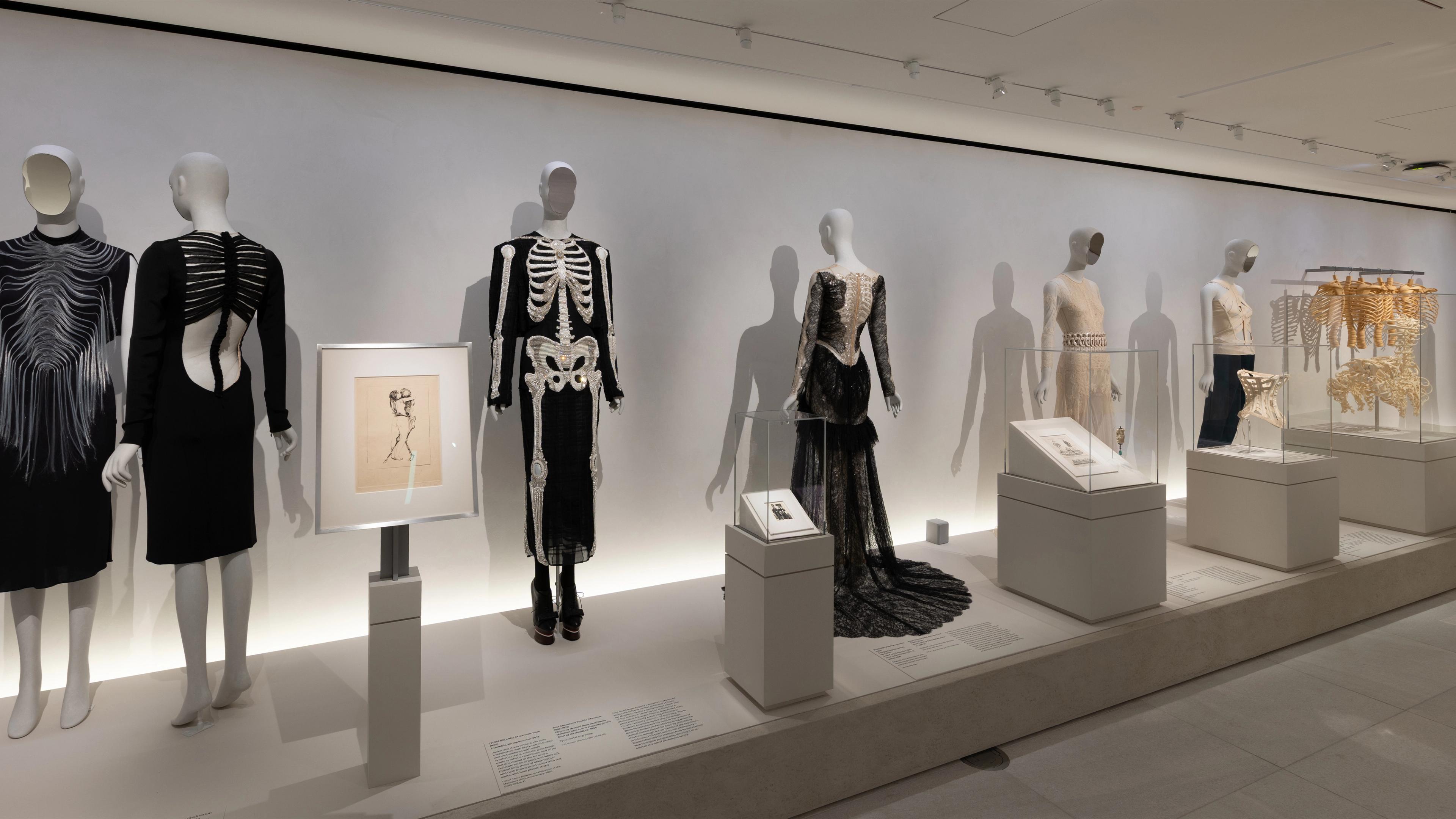 Exhibition display featuring mannequins in skeleton-themed black gowns, intricate lace dresses, and artistic corsets.
