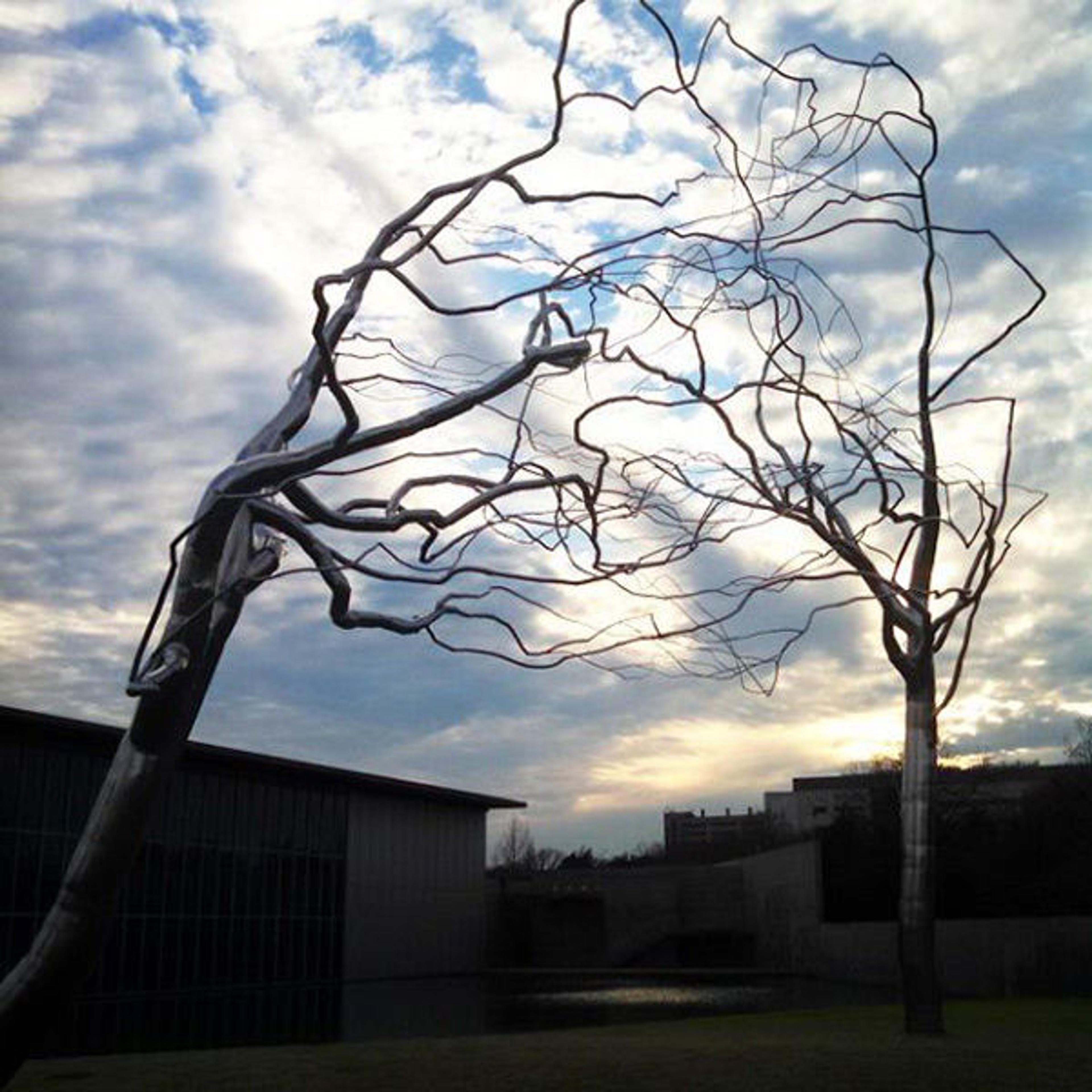 Roxy Paine