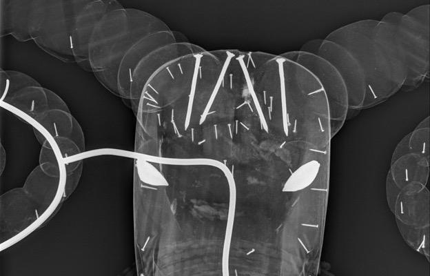 Detail of an X-radiographic image of Headdress: Ram, highlighting the near-identical nails across both the repair and the original seams.