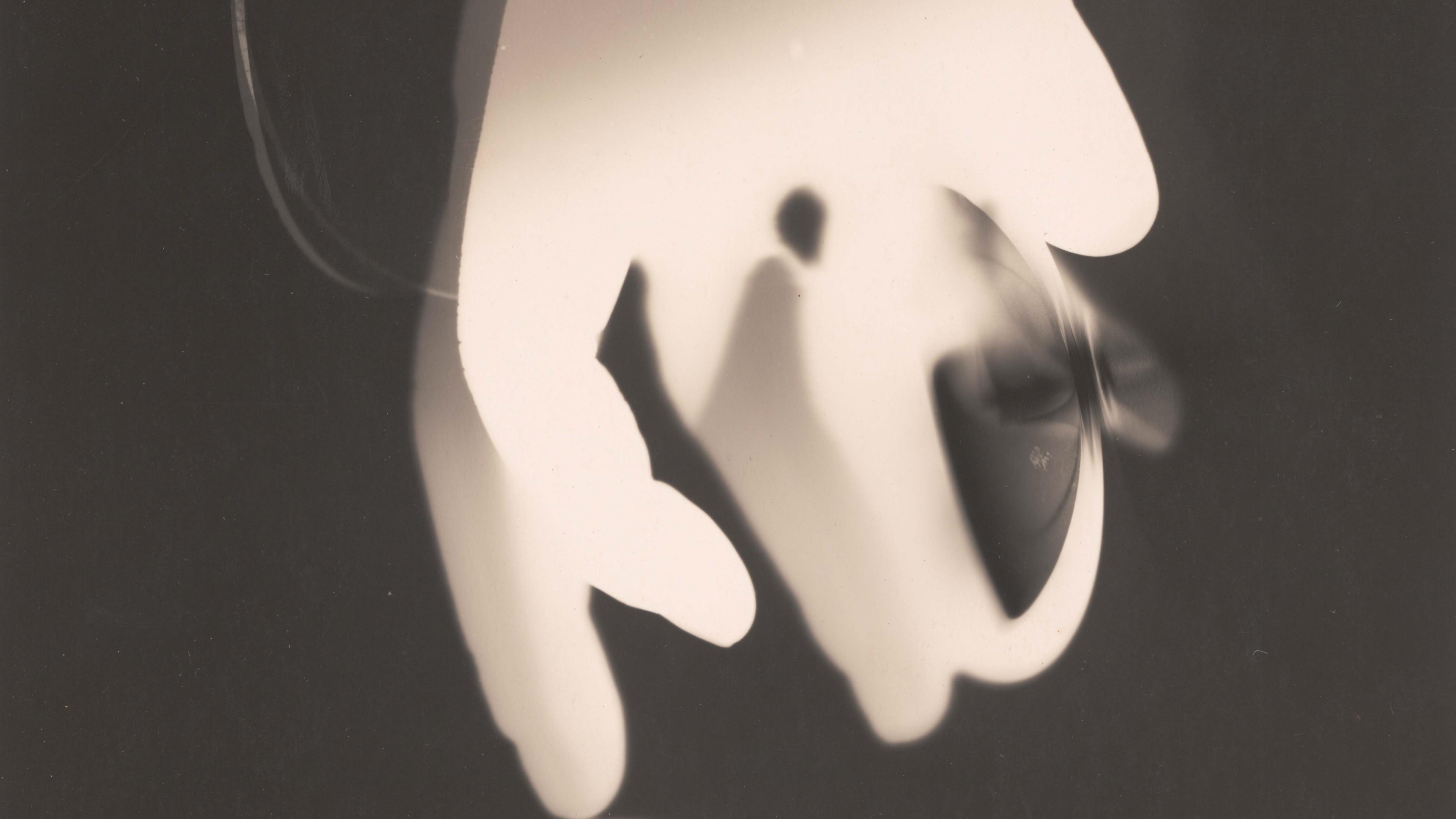 The graphic silhouette of a hand and butterfly reaching down as if in movement