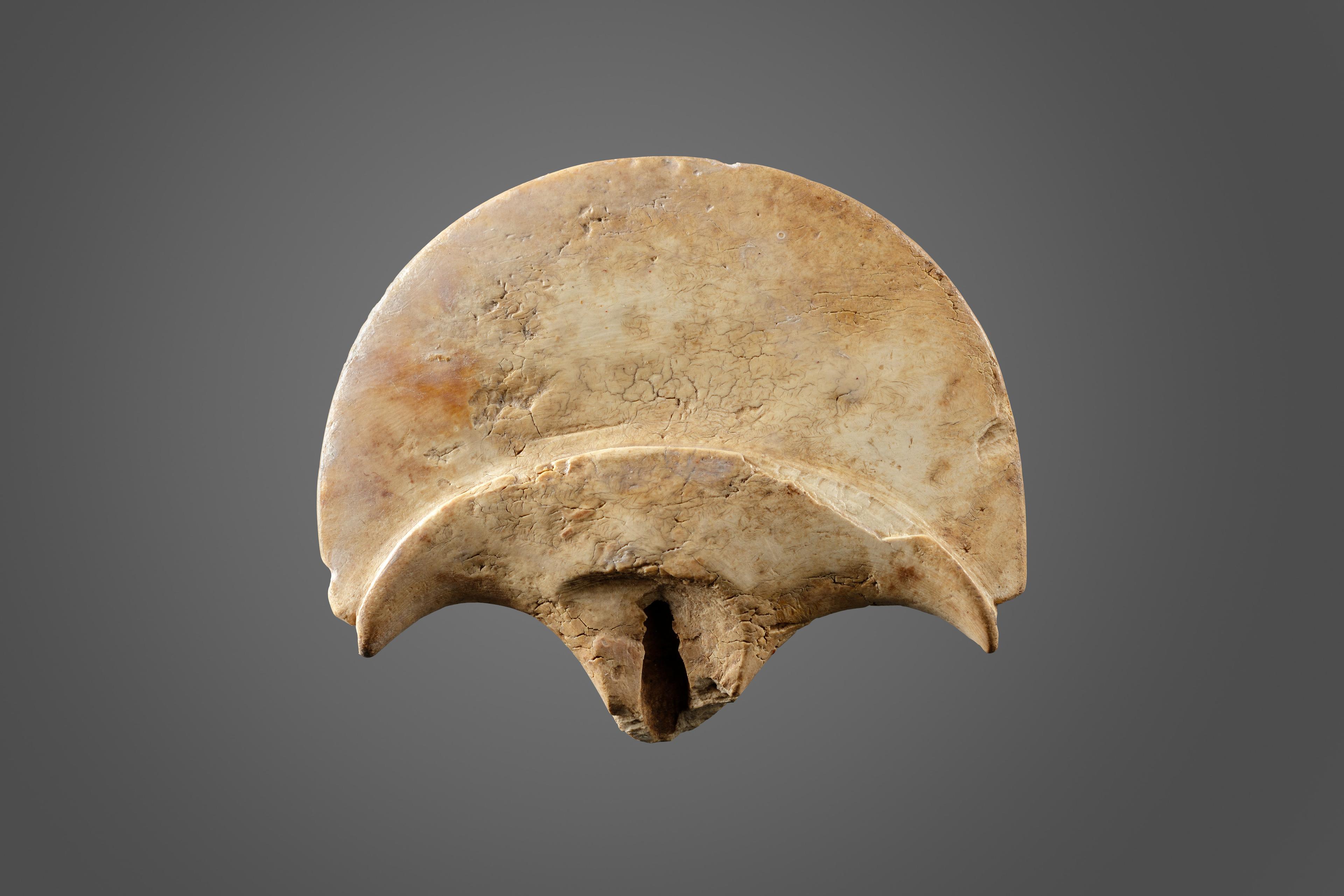 A small ivory shaped fan.