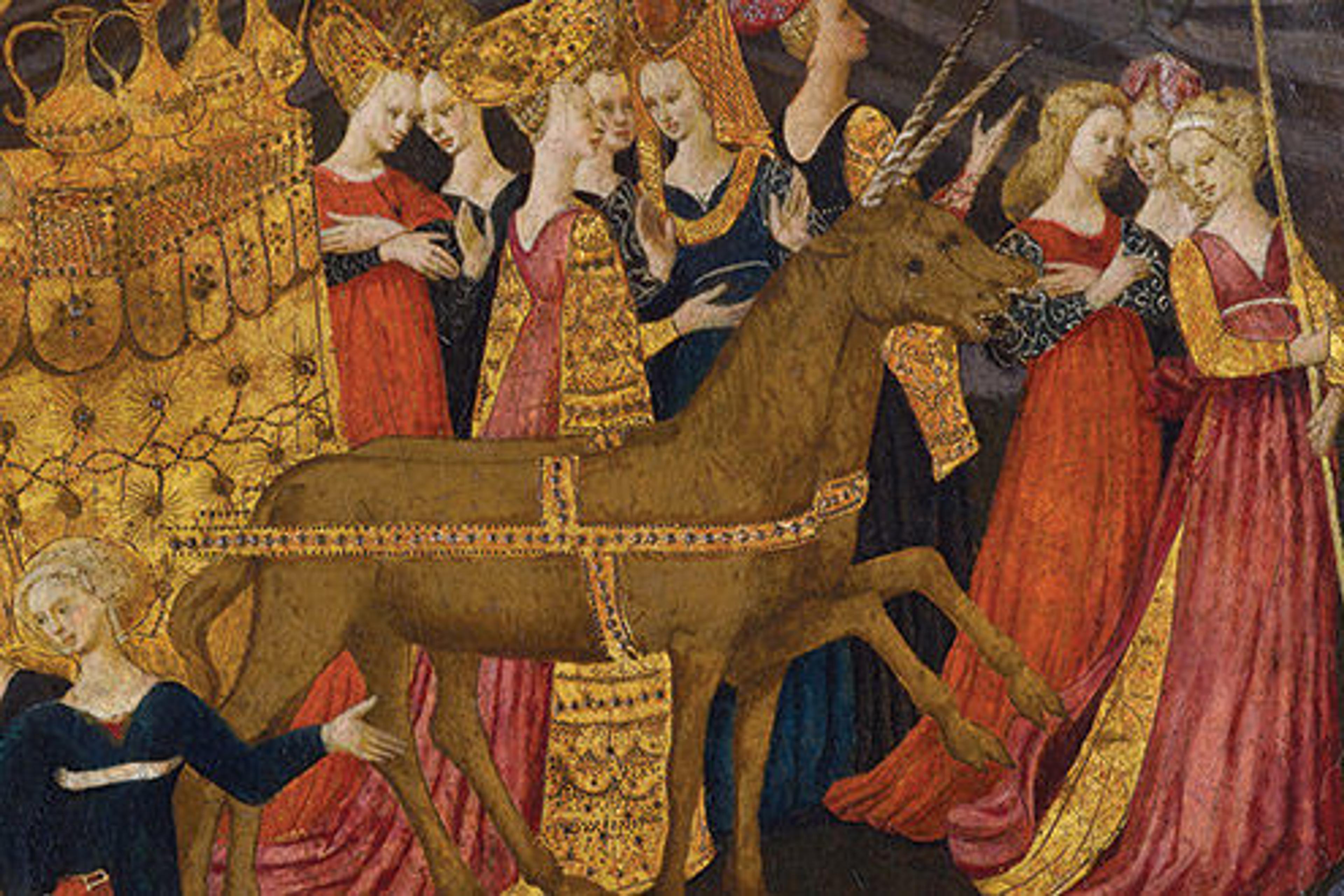 Search for the Unicorn