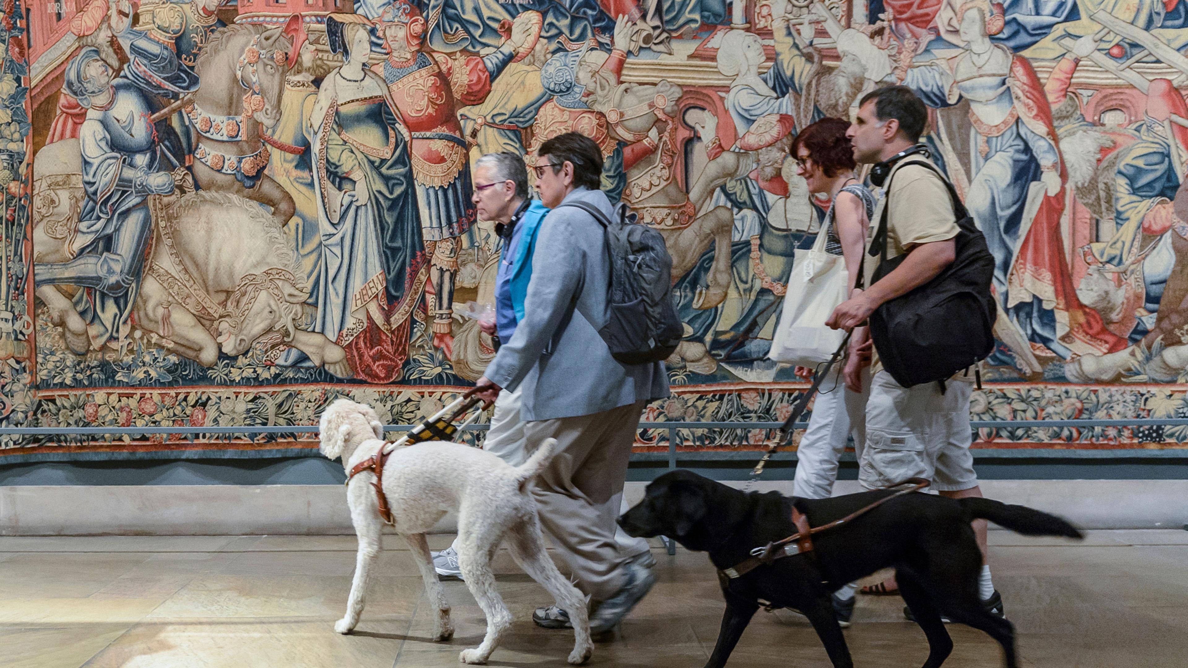 a group of four visitors walking with two guide dogs, a large medieval tapestry hangs in the background