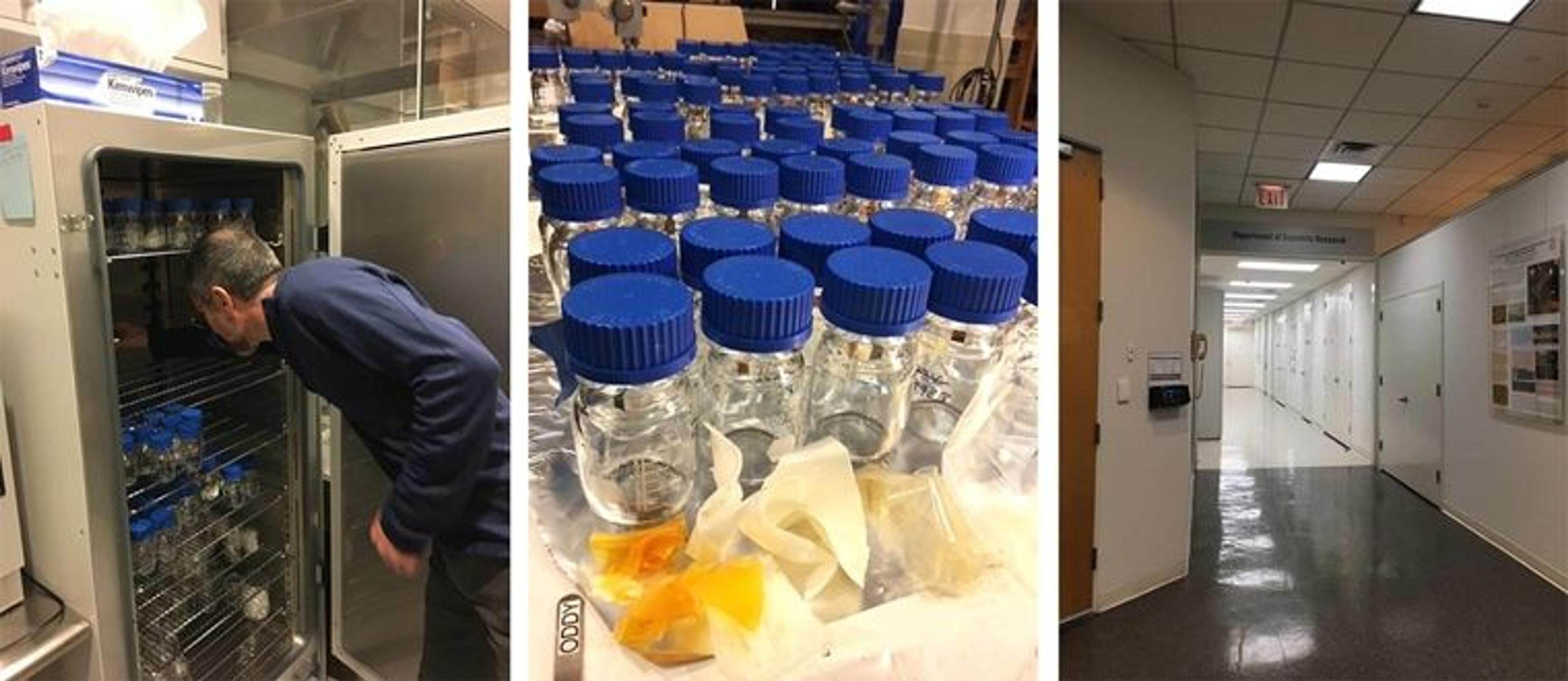 Left: a man reaches into a metal appliance full of test tubes in a laboratory. Center: a close-up of rows of test tubes with blue lids with tiny samples inside. Right: an empty hallway in the basement of The Met, directly outside of the Department of Scientific Research