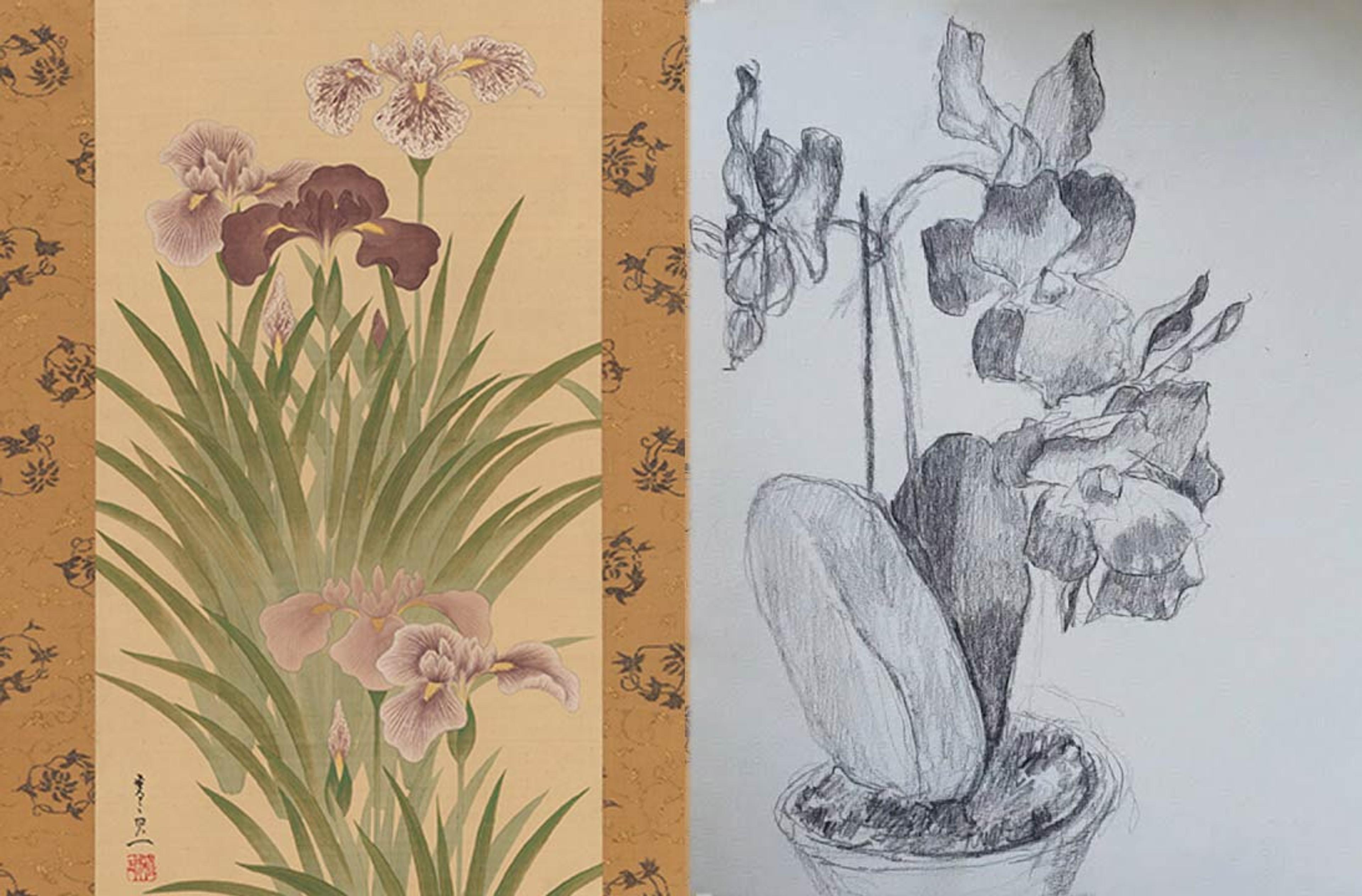 Composite image of Suzuki Kiitsu's "Irises and Moth" and a drawing of irises inspired by the painting