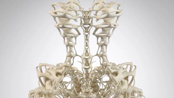 skeleton dress Im)mortal Fashion: Iris van Herpen's “Skeleton” Color:Green Safari Aida Black/Gold Vanity dresser daytime-event Hoodie