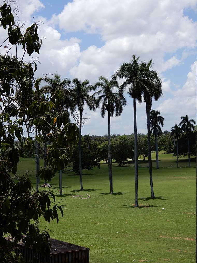 Cuba 7