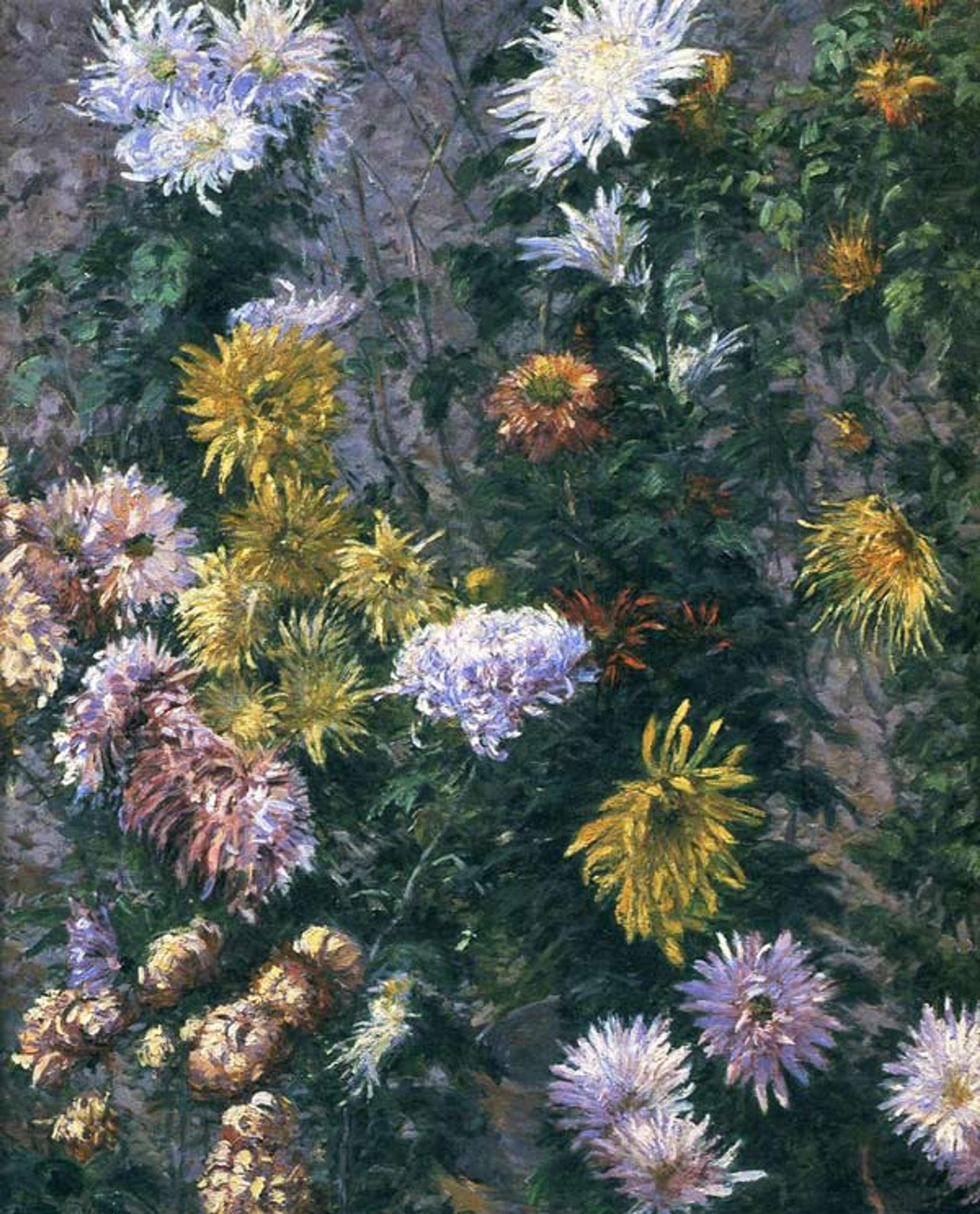 Gustave Caillebotte (French, 1848–1894). Chrysanthèmes blancs et jaunes, jardin du Petit-Gennevilliers, 1893. Oil on canvas; 73 x 60 cm. Musée Marmottan, Paris