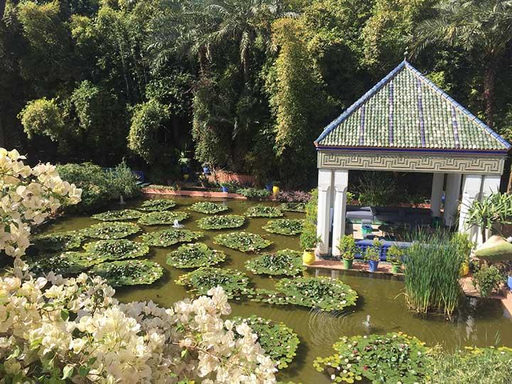 Garden at Villa Oasis