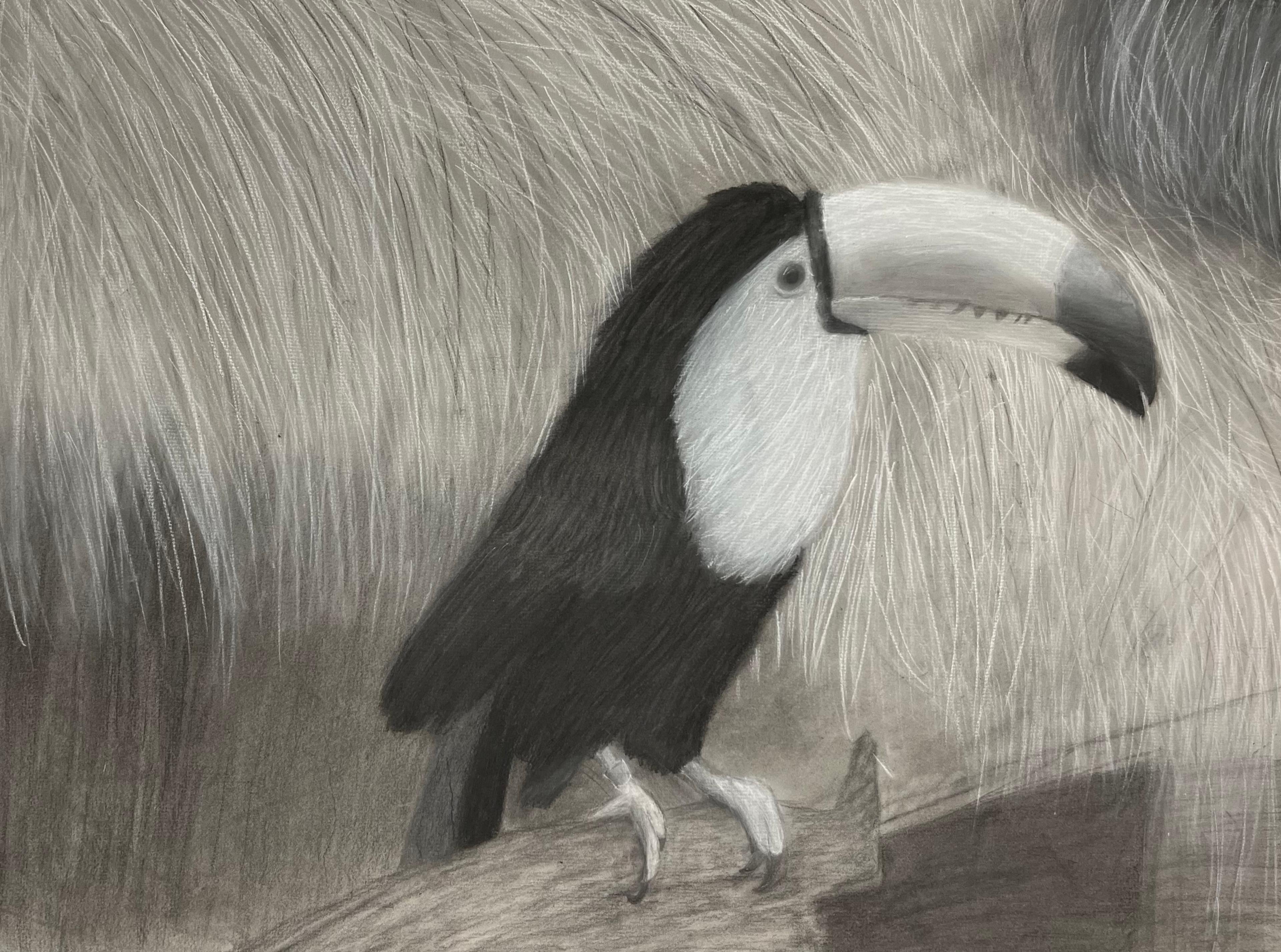 Black-and-white charcoal drawing of a toucan perched on a branch, facing right. The background is composed of finely drawn hanging foliage that resembles the consistency of straw.
