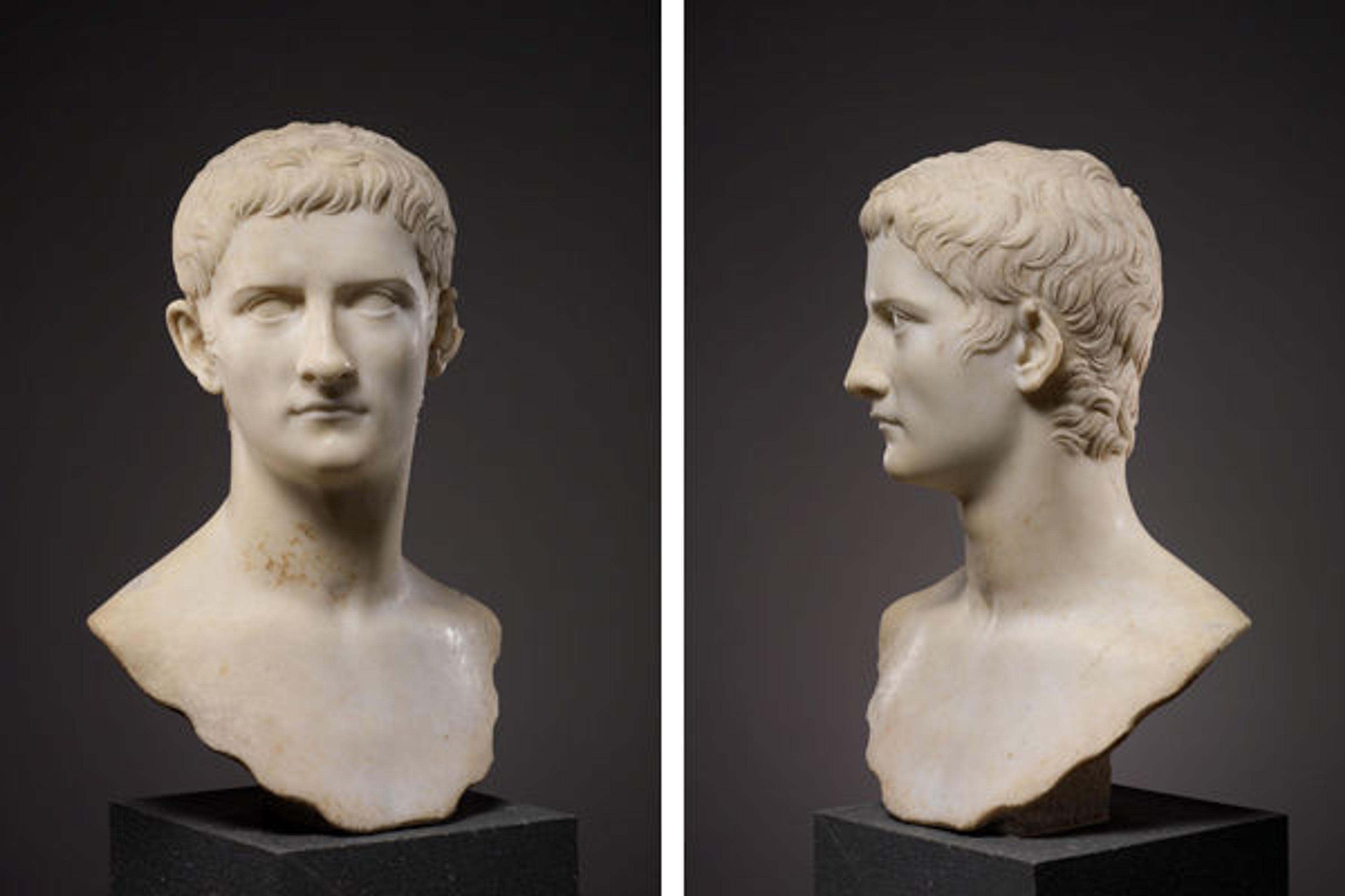 Marble portrait bust of the emperor Gaius, known as Caligula, A.D. 37–41. Roman, early Imperial, Julio-Claudian. Marble: H. 20 in. (50.8 cm) length 7 1/16 in. (18 cm). The Metropolitan Museum of Art, New York, Rogers Fund, 1914 (14.37)