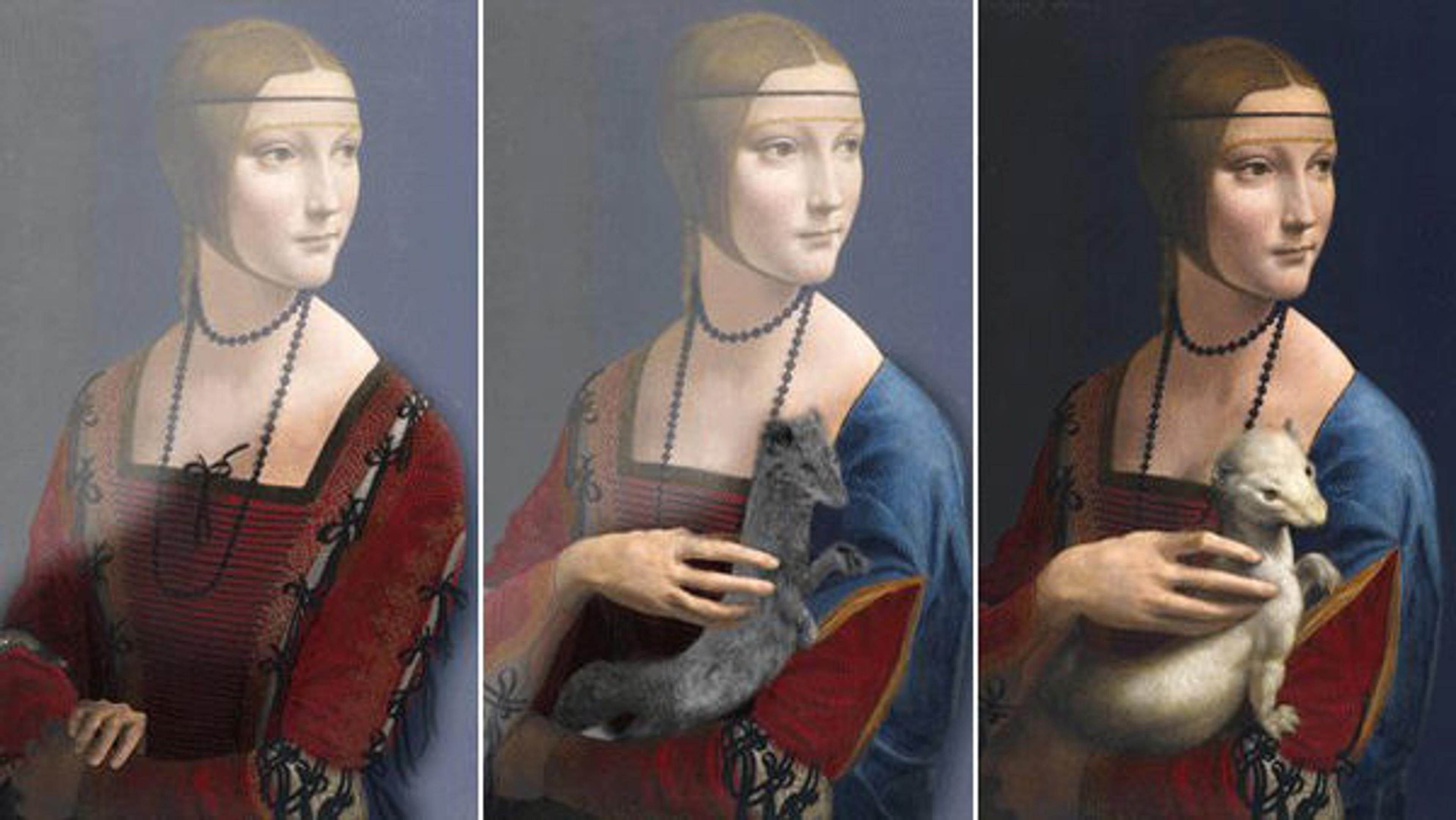 The three versions of Lady with an Ermine by Da Vinci. Image courtesy of the author