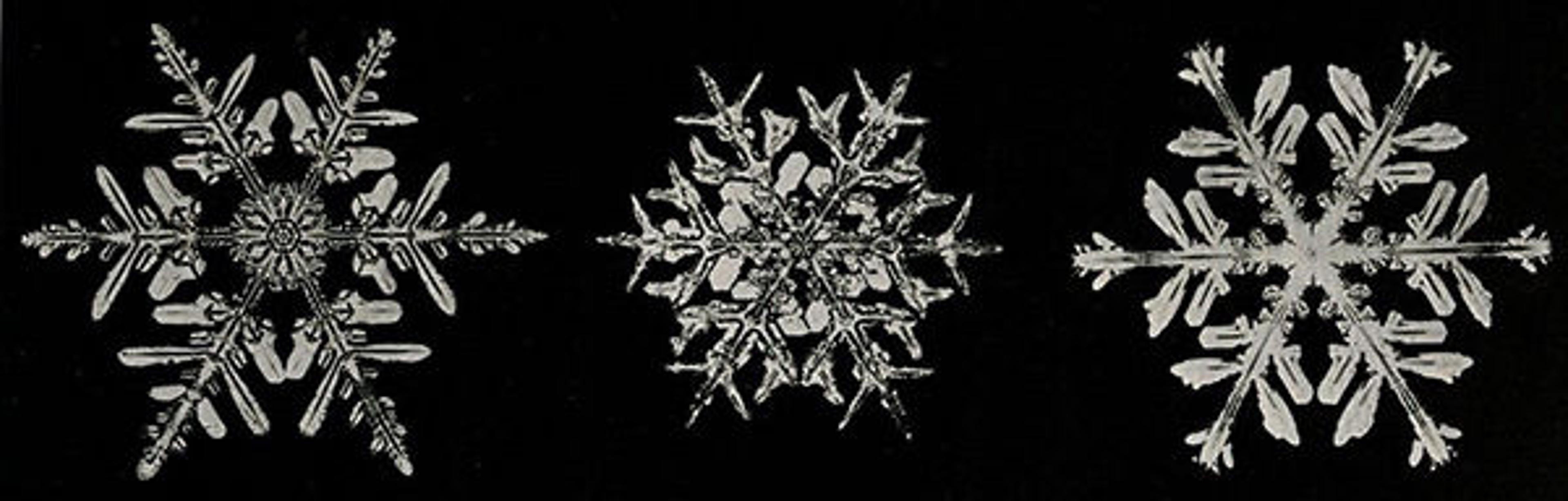 snowflake banner