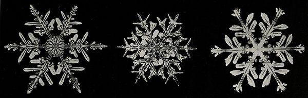 snowflake banner