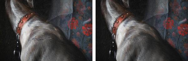 Before and after images of the hound's shoulder