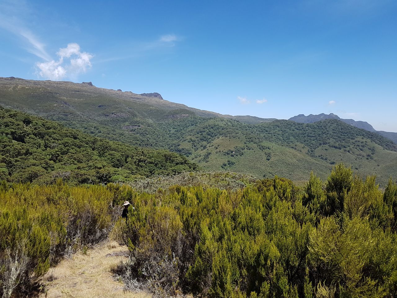 Naivasha vs Nanyuki: Which Highland Location Fits Your Home, Lifestyle or Investment Goals?