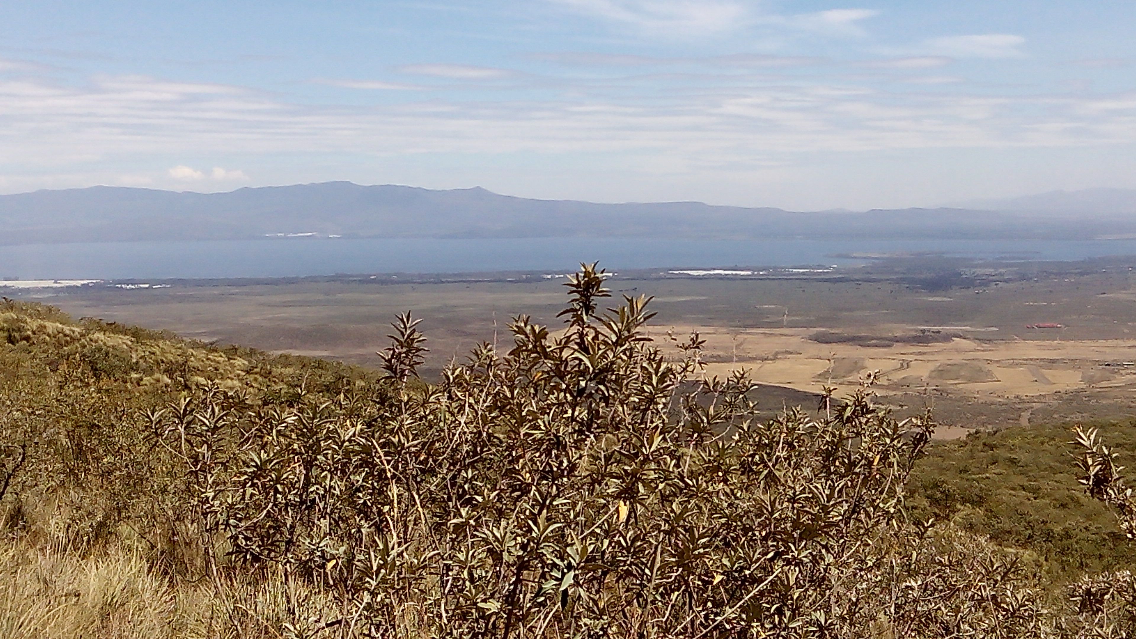 Real estate and property in Naivasha