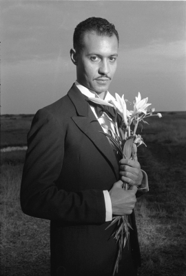 Looking for Langston (Looking for Langston Vintage Series)