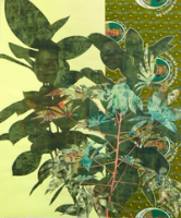 Cassava Garden