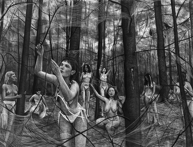 Gathering Webs of Spider Silk 