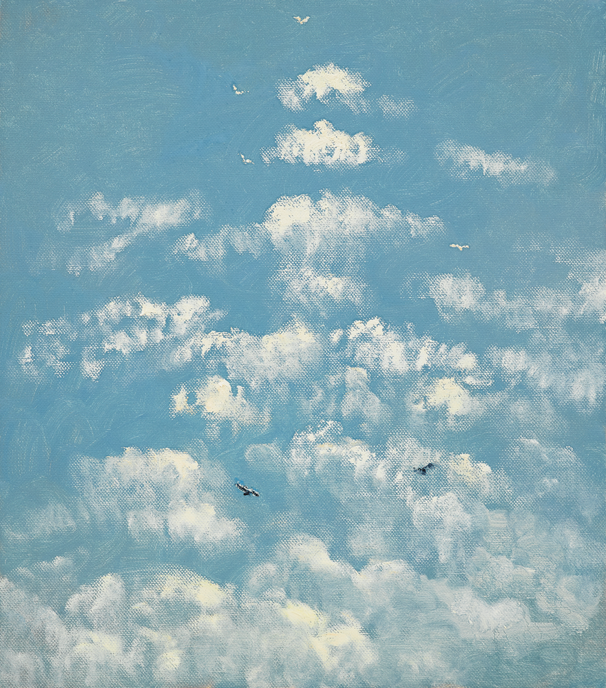 Rising Clouds and Gulls