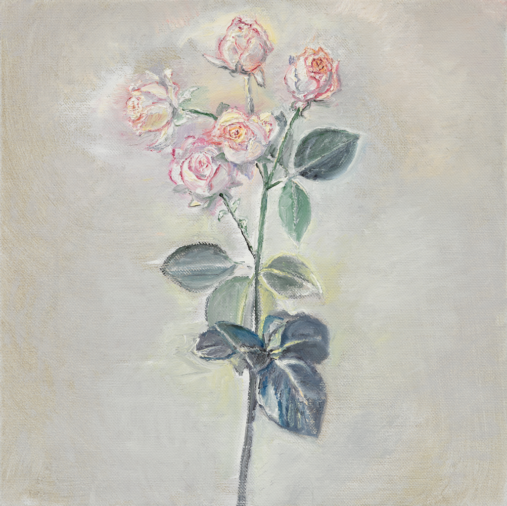 Pink Rosebuds