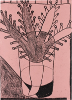 Untitled Flowers