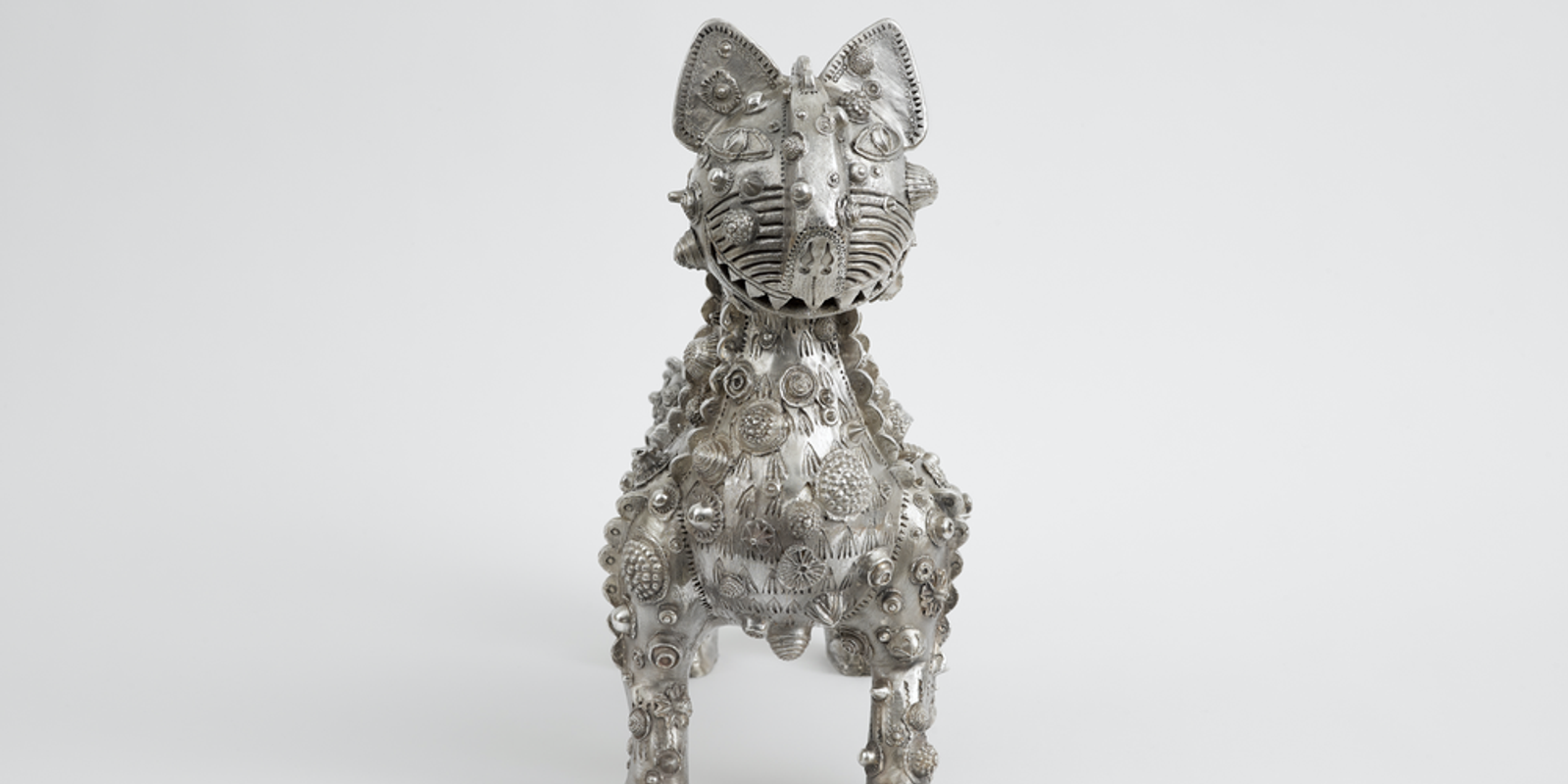 Chris Whitty's Cat